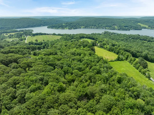 a view of a green field with lots of green space