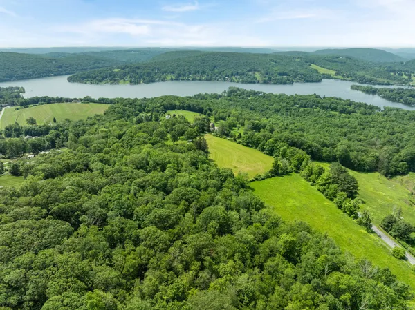 an aerial view of green landscape with trees houses and mountain view