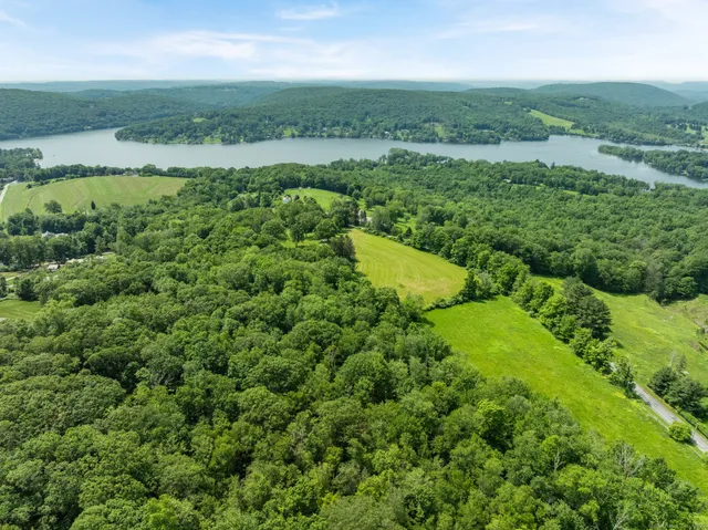 an aerial view of green landscape with trees houses and mountain view