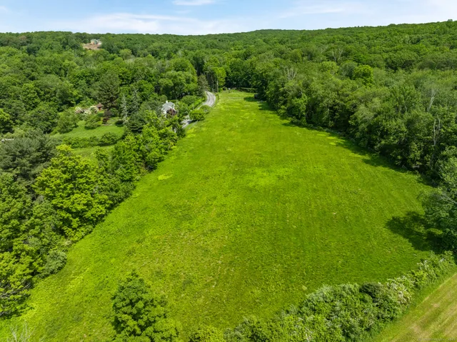 a view of a lush green space