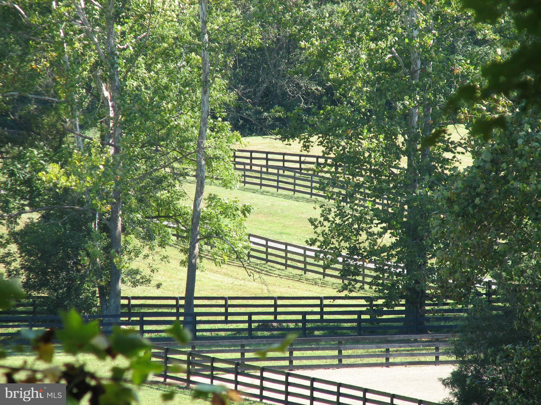 7330 Dudie Road Marshall, VA 20115 - Photo 29 of 30 Exterior (General)