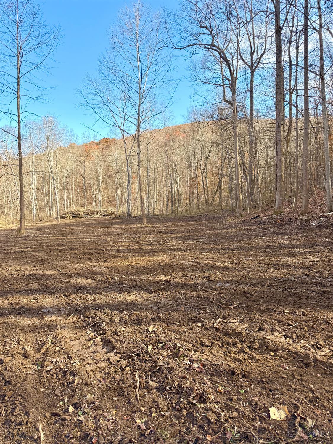 0 South Chenoweth Fork Road Piketon, OH 45661 - Photo 26 of 95