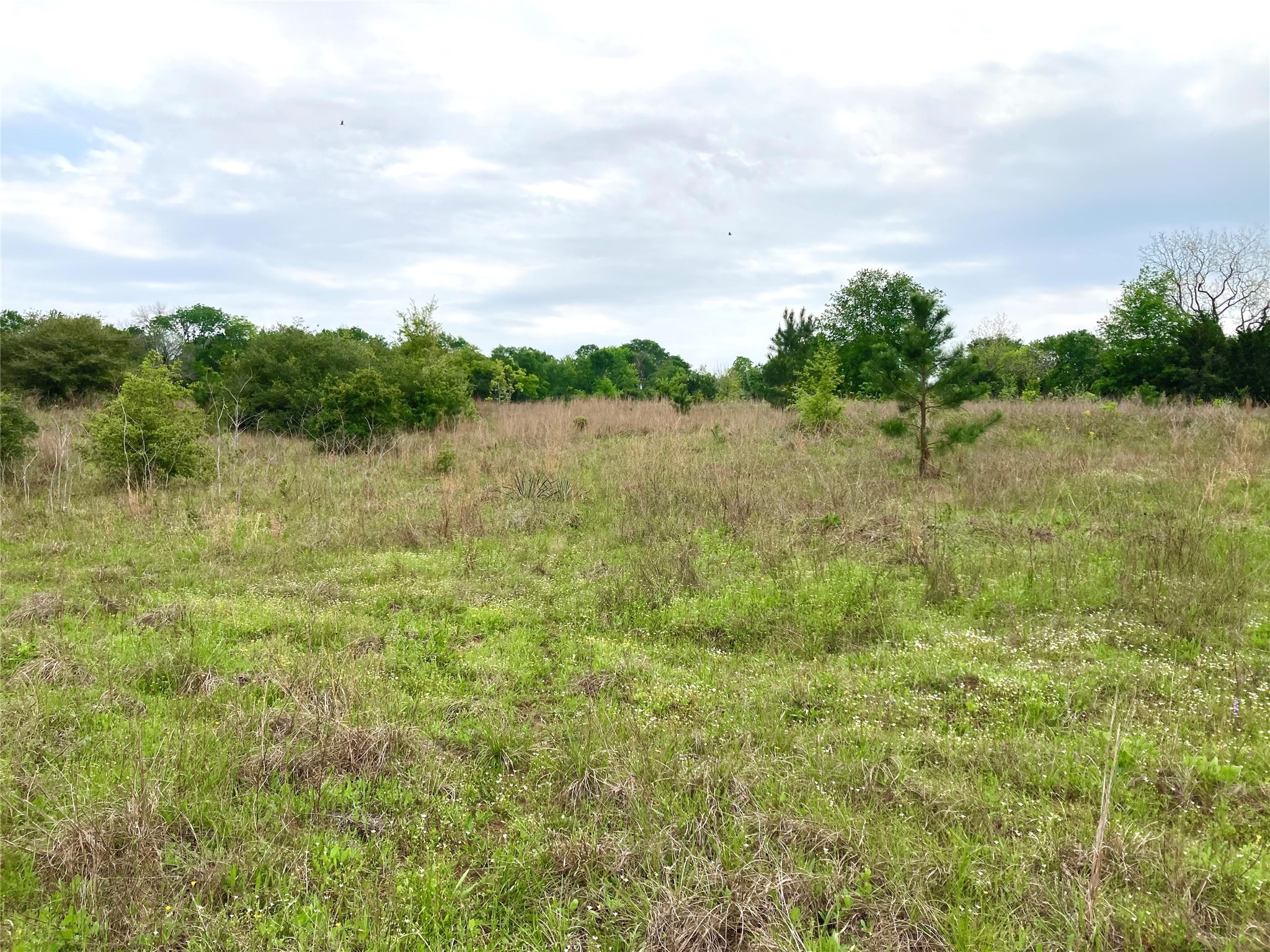 775 South FM 441 Road Louise, TX 77455 - Photo 4 of 14