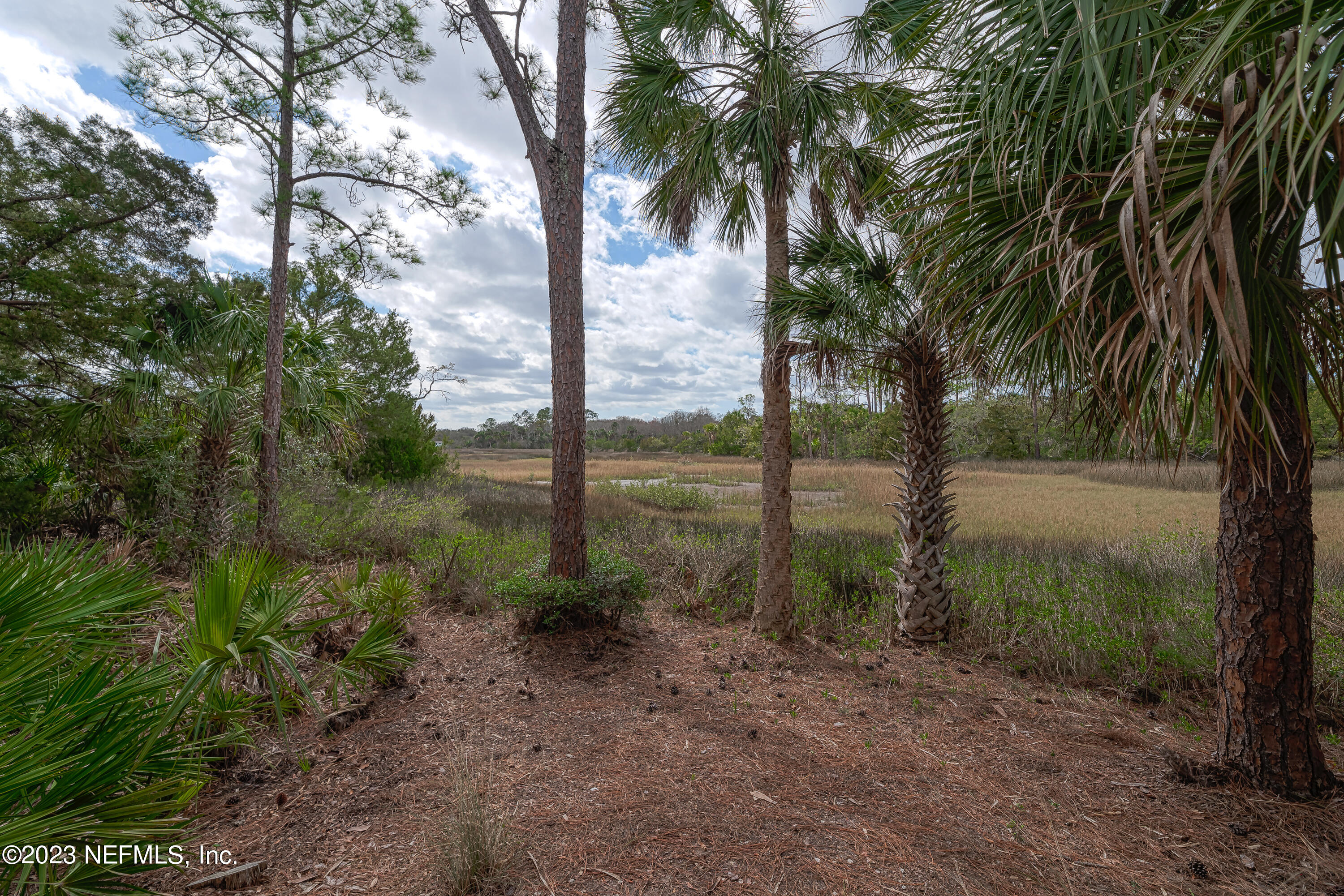 3308 Haley Pointe Road St. Augustine, FL 32084 - Photo 23 of 24 Marsh