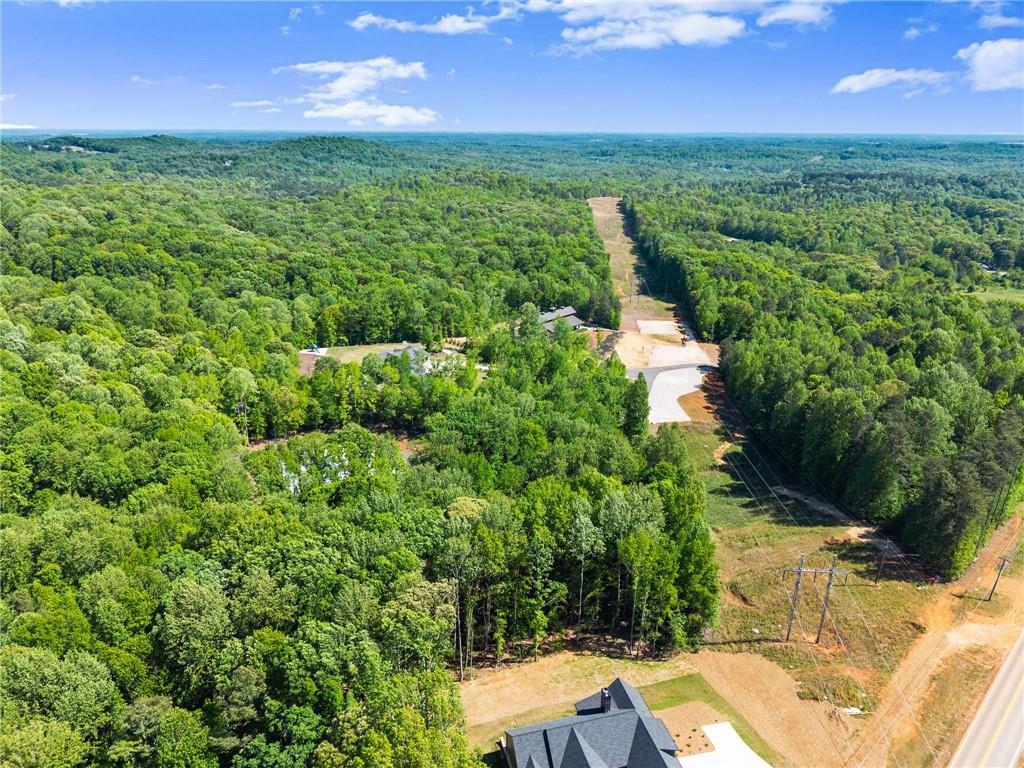 3263 Tanners Mill Road Gainesville, GA 30507 - Photo 172 of 197