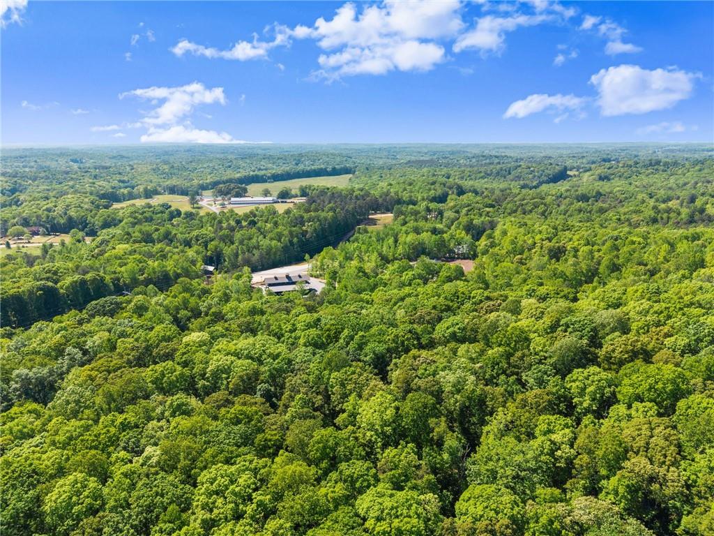 3263 Tanners Mill Road Gainesville, GA 30507 - Photo 176 of 197 a view of a city with lush green forest
