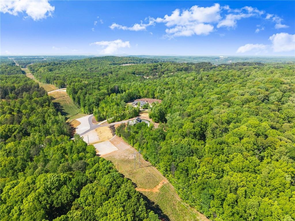 3263 Tanners Mill Road Gainesville, GA 30507 - Photo 177 of 197
