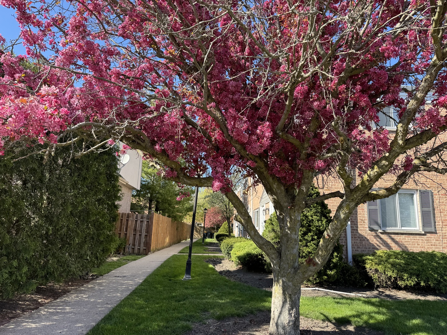 2016 Maple Avenue Northbrook, IL 60062 - Photo 3 of 40