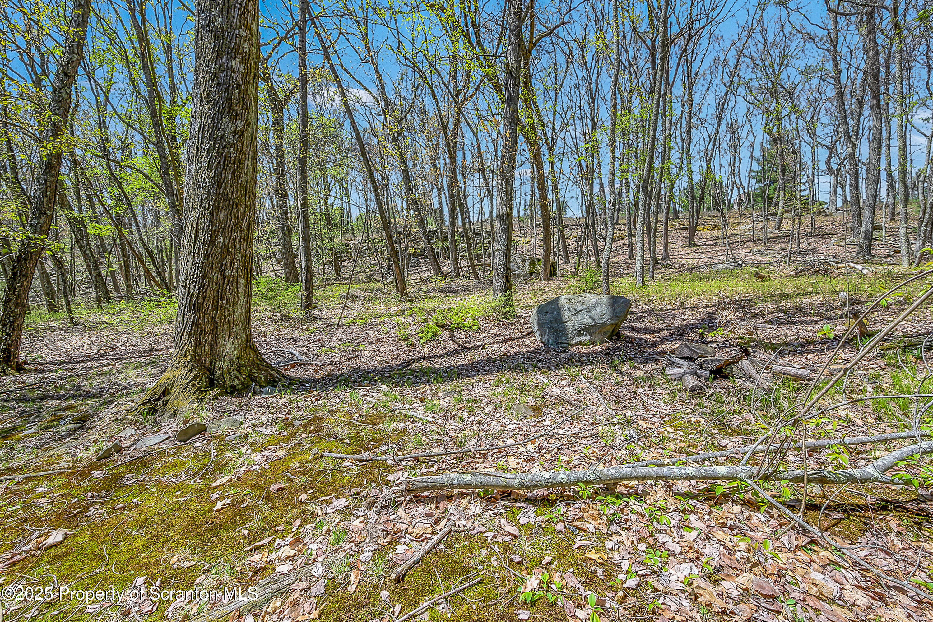 106 Lookout Drive Hawley, PA 18428 - Photo 14 of 43 a backyard of a house with lots of green space