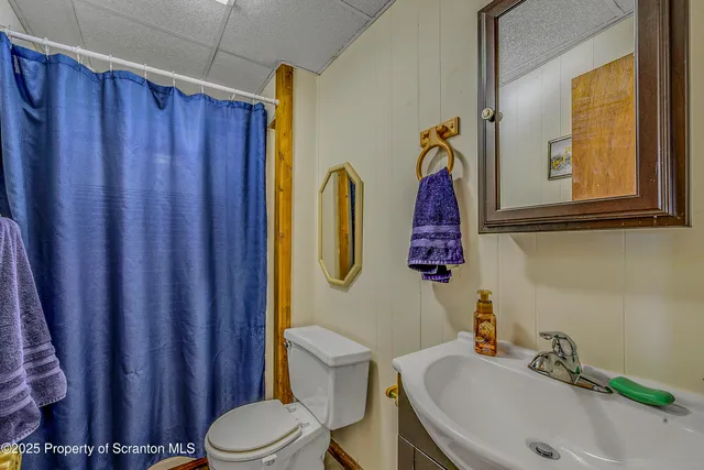 a bathroom with a sink a toilet and shower curtain