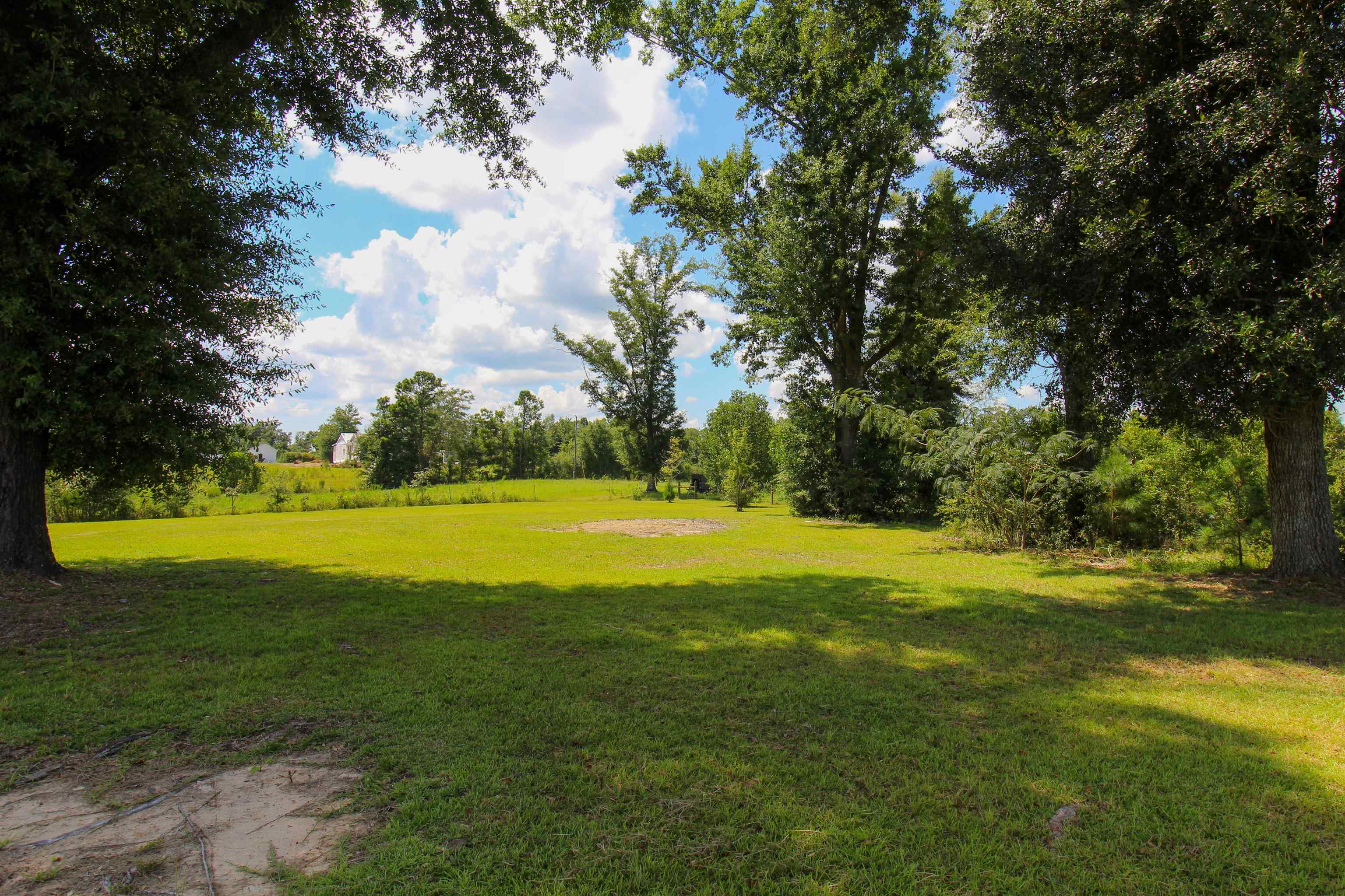 8264 Shady Grove Road Sneads, FL 32460 - Photo 1 of 31 Gallery Image 1