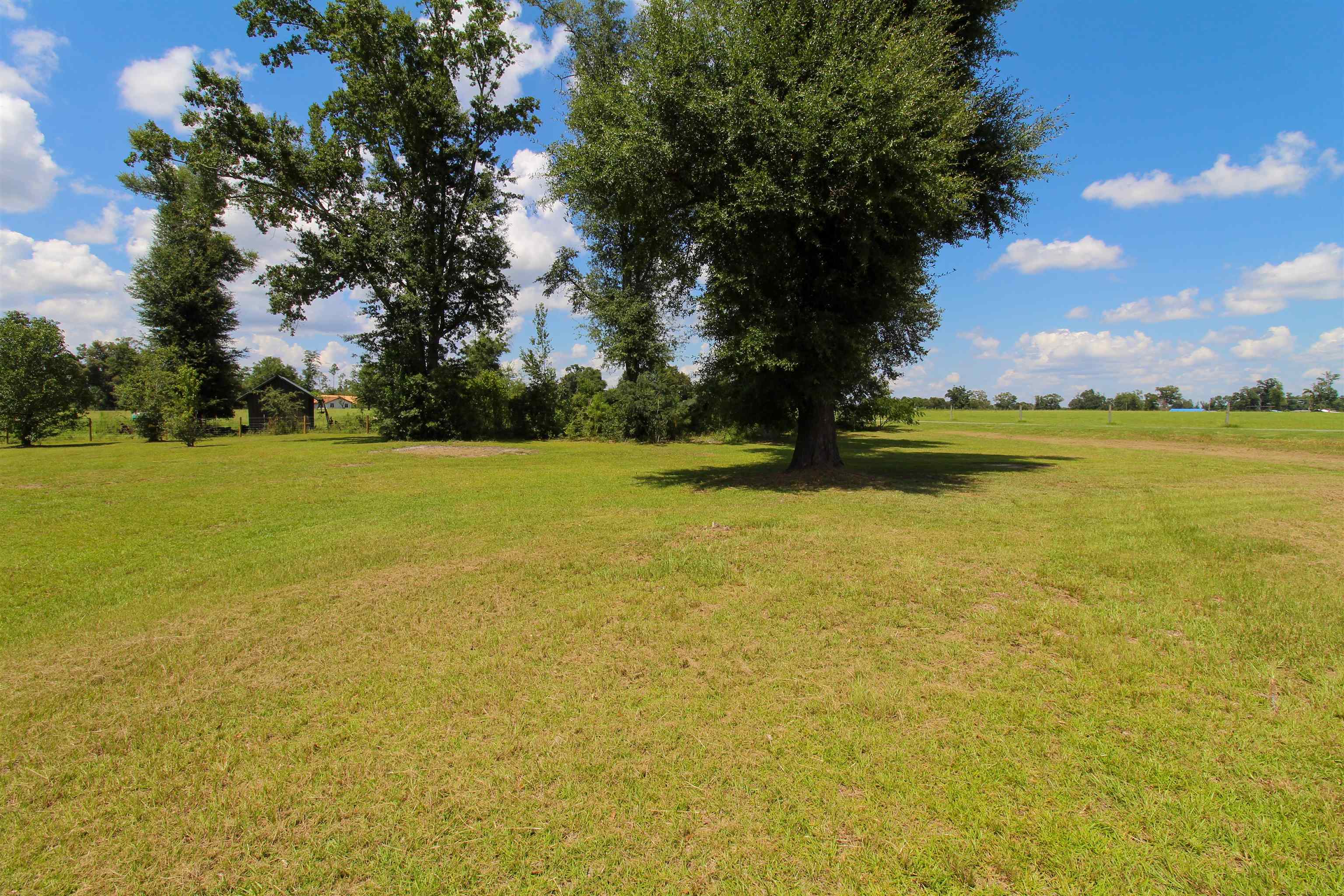 8264 Shady Grove Road Sneads, FL 32460 - Photo 2 of 31 Gallery Image 2
