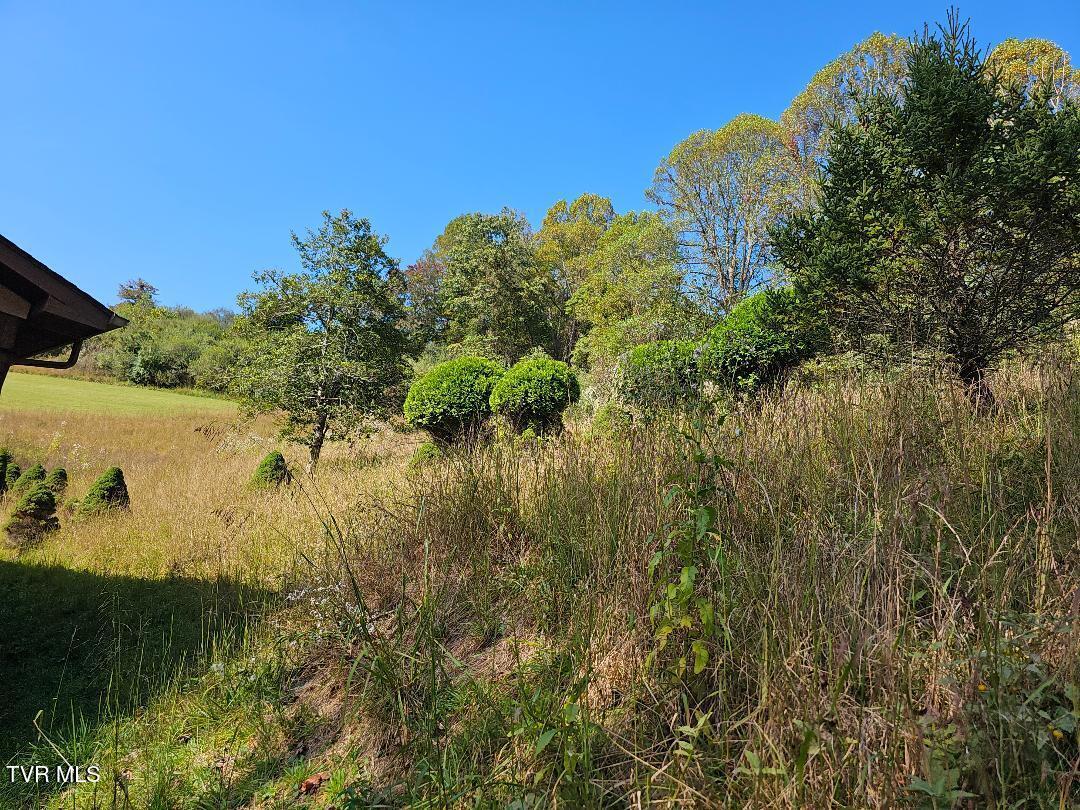 2056 Honey Camp Road Clintwood, VA 24228 - Photo 9 of 29 6