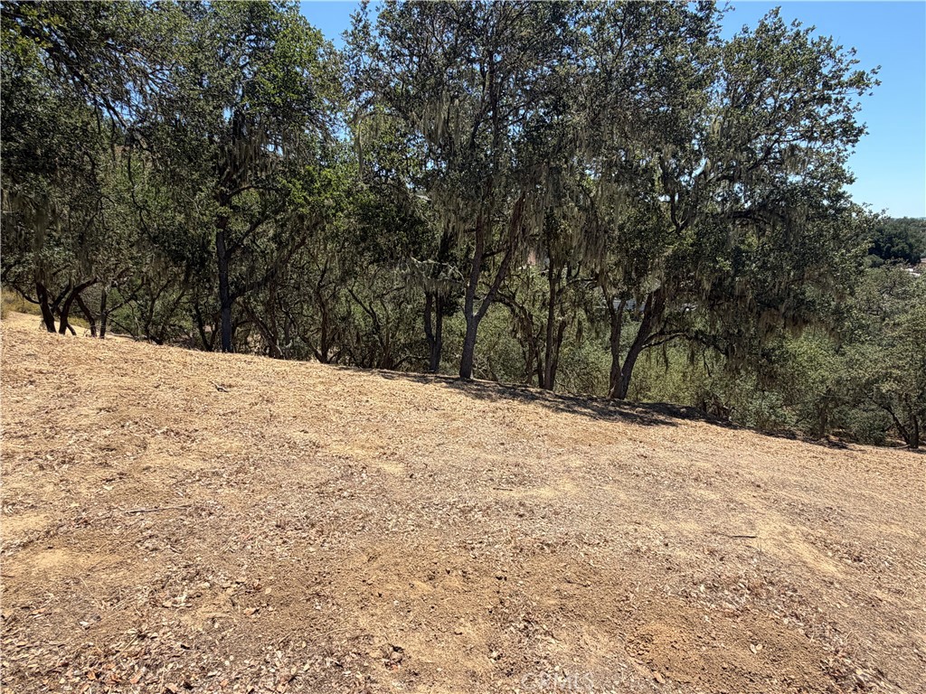 2174 Ridge Rider Road Bradley, CA 93426 - Photo 1 of 17