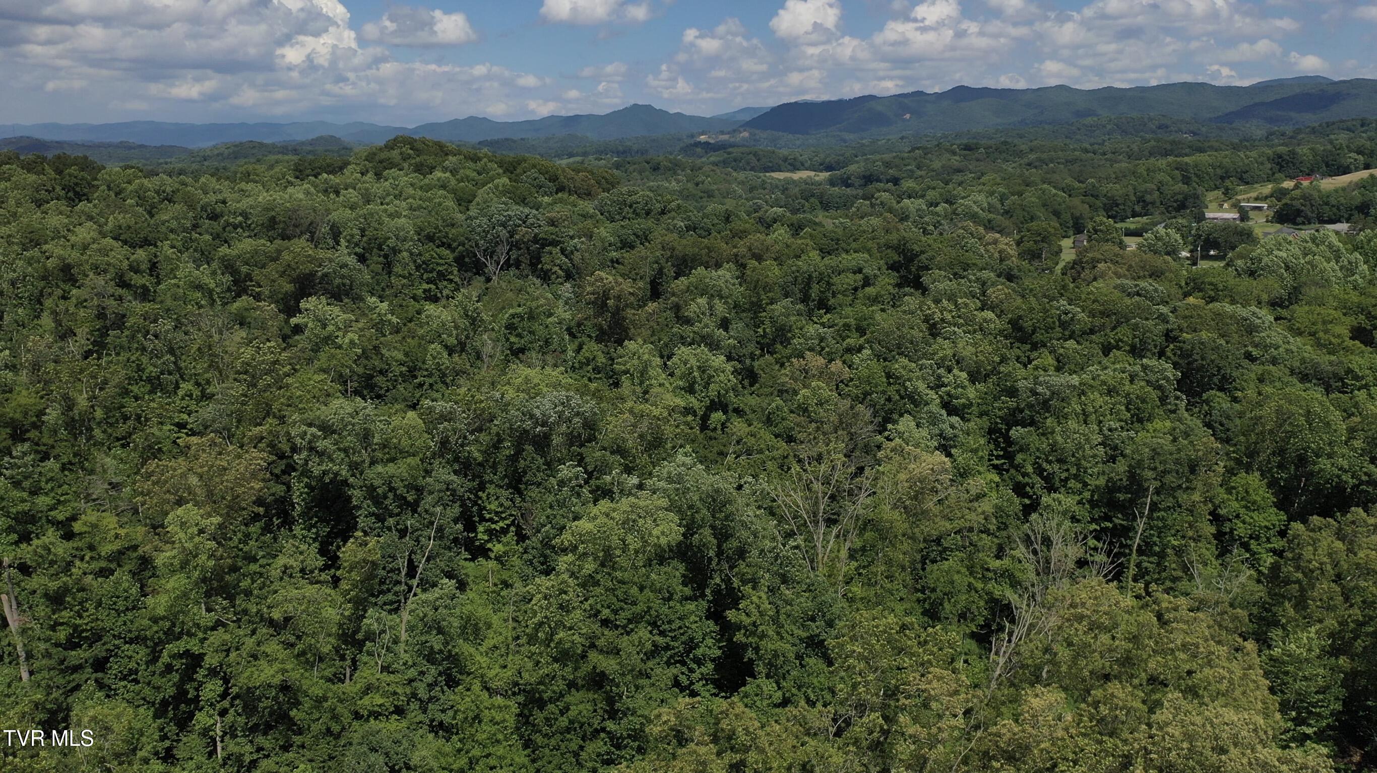 12-ac Max Jett Road Johnson City, TN 37601 - Photo 21 of 27 _Pic23 (2)