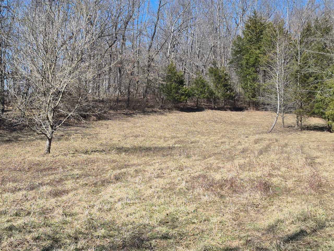 925 Hopewell Church Road Canmer, KY 42722 - Photo 4 of 10 Gallery Image 4