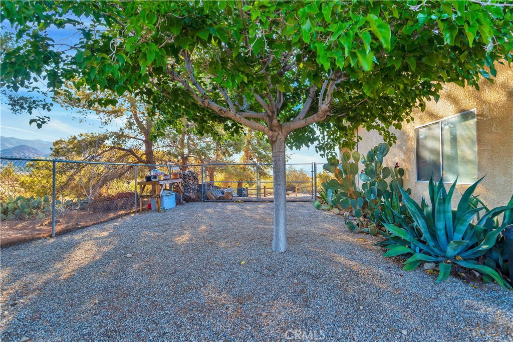 8775 Desert Shadow Road Joshua Tree, CA 92252 - Photo 33 of 39 a view of a yard with plants and trees