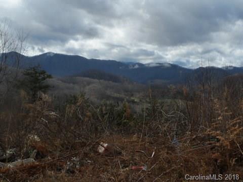 110 Cliffords Mountain Road Canton, NC 28716 - Photo 3 of 11 Gallery Image 3