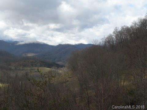 110 Cliffords Mountain Road Canton, NC 28716 - Photo 4 of 11 Gallery Image 4