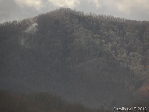110 Cliffords Mountain Road Canton, NC 28716 - Photo 5 of 11 Gallery Image 5