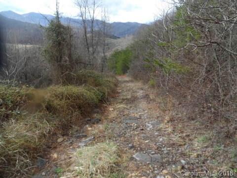 110 Cliffords Mountain Road Canton, NC 28716 - Photo 7 of 11 Gallery Image 7
