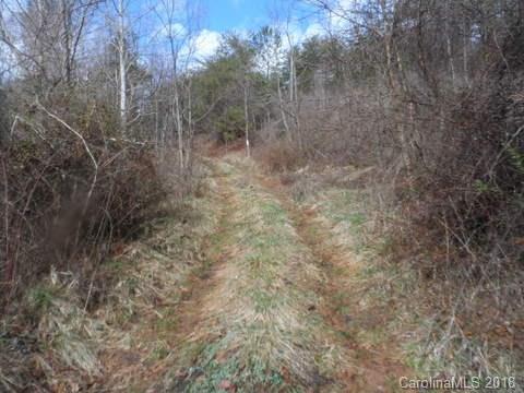 110 Cliffords Mountain Road Canton, NC 28716 - Photo 8 of 11 Gallery Image 8