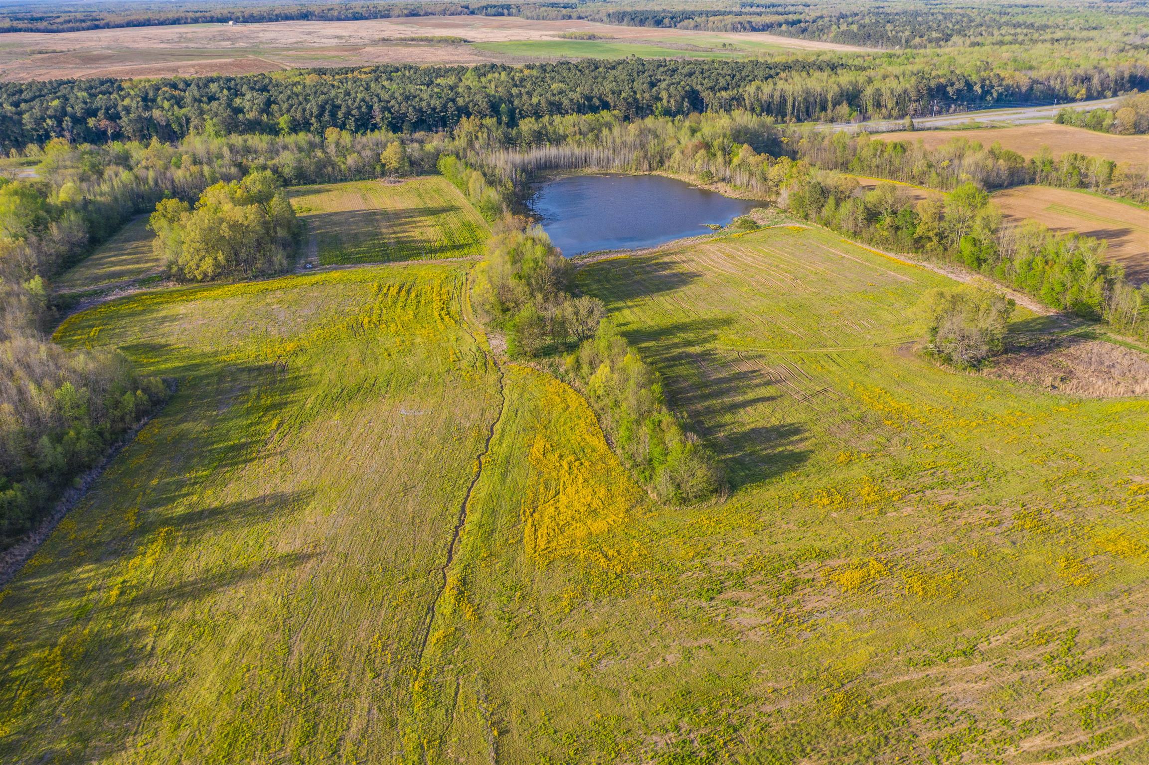 0 Dover Road Indian Mound, TN 37079 - Photo 15 of 17 Gallery Image 15
