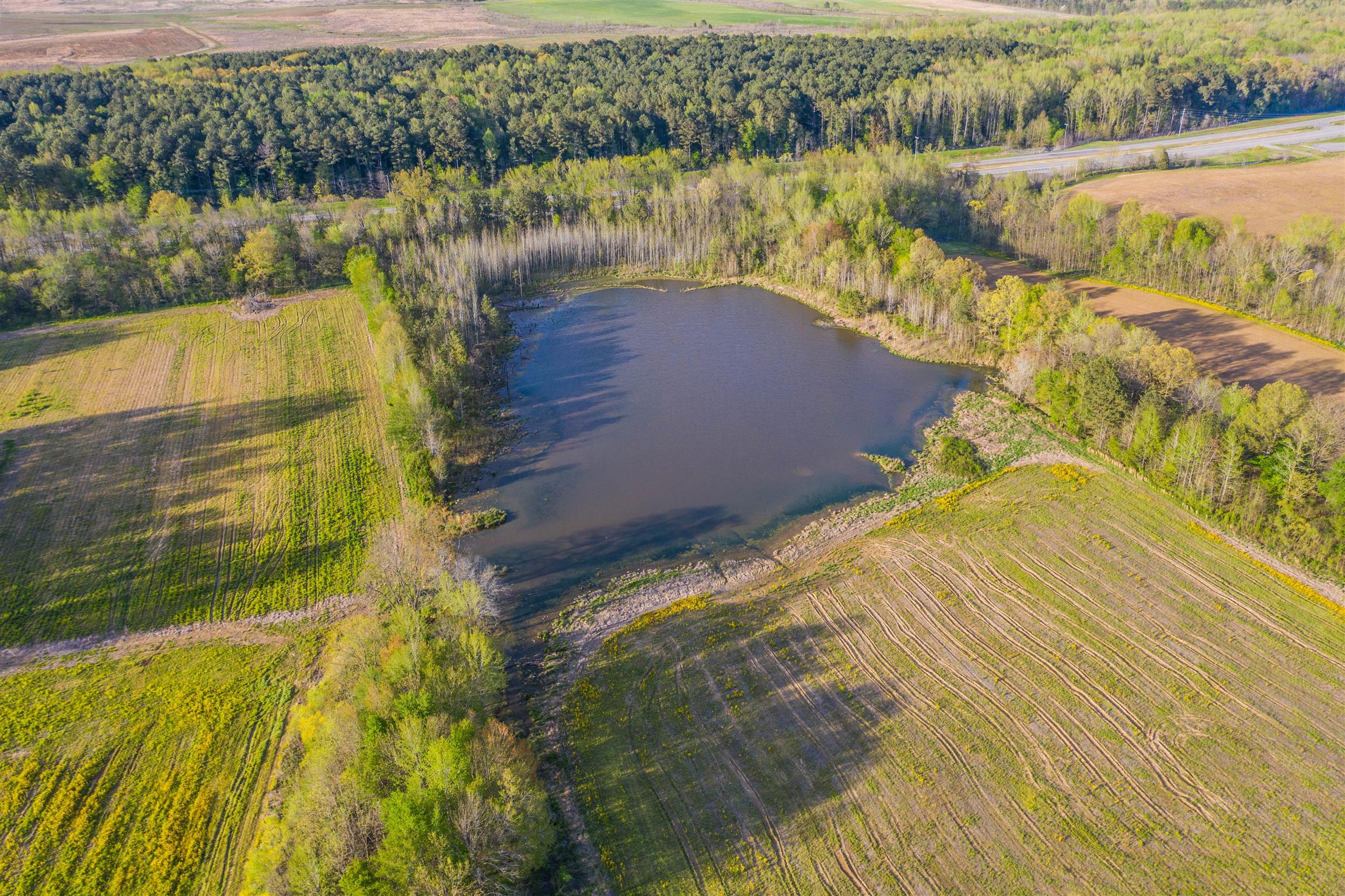 0 Dover Road Indian Mound, TN 37079 - Photo 16 of 17 Gallery Image 16
