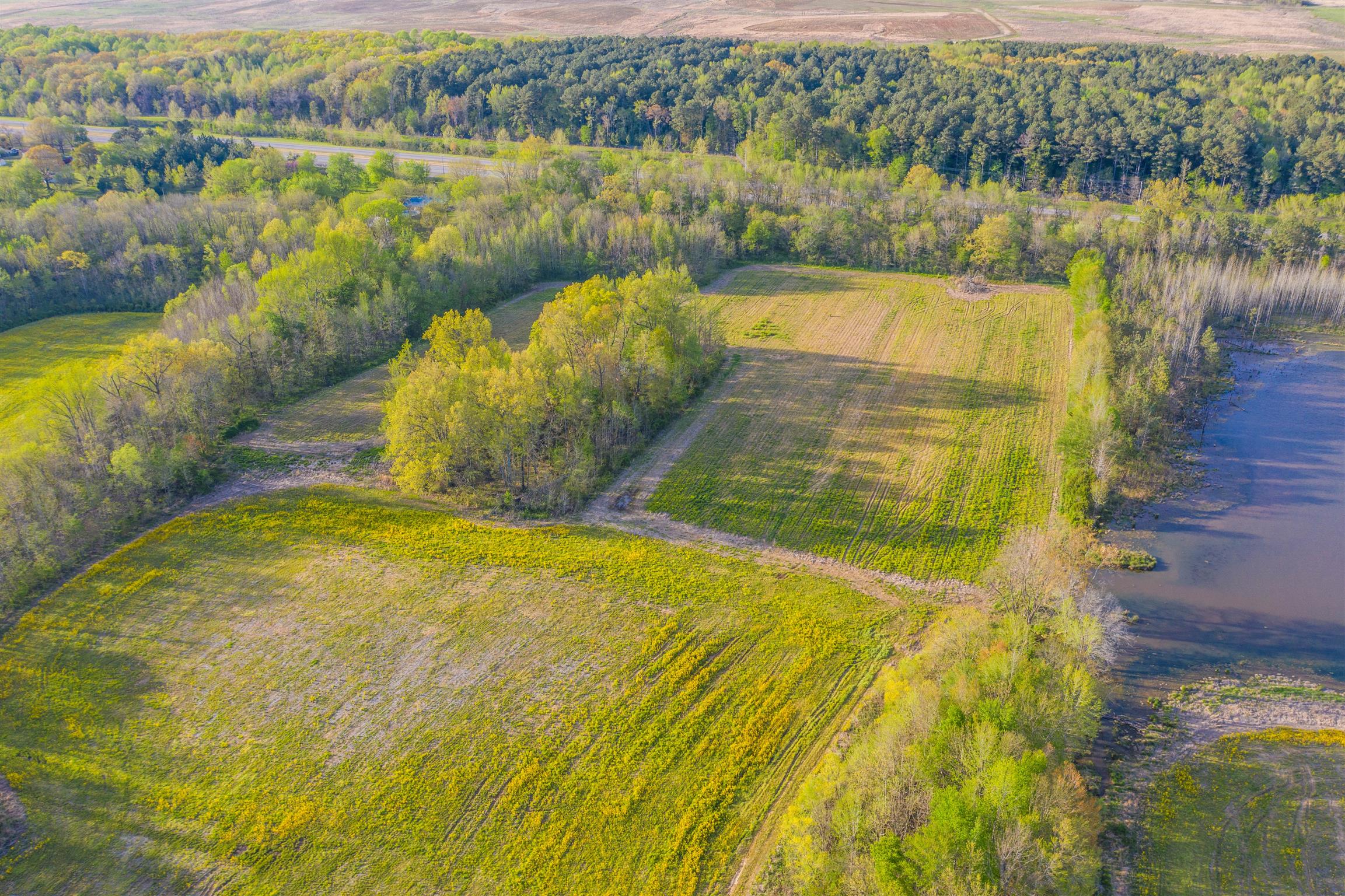 0 Dover Road Indian Mound, TN 37079 - Photo 6 of 17 Gallery Image 6