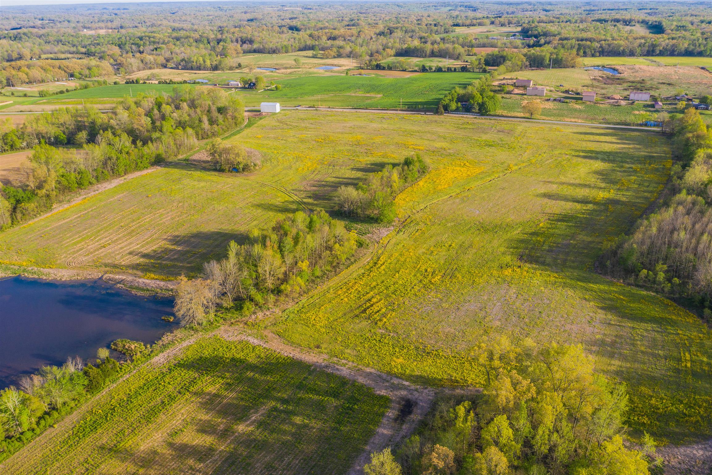 0 Dover Road Indian Mound, TN 37079 - Photo 7 of 17 Gallery Image 7