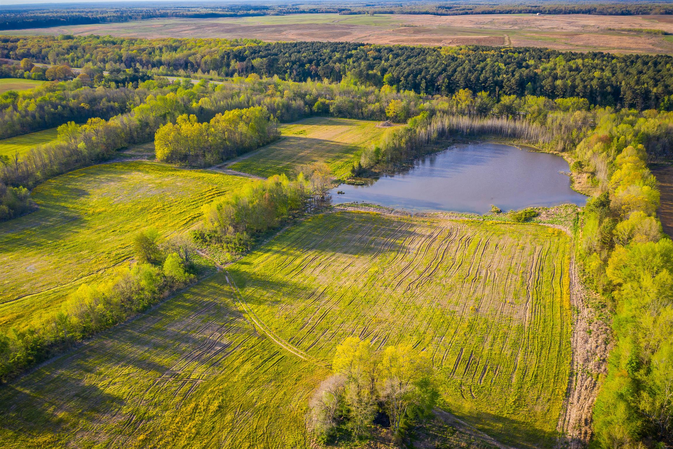 0 Dover Road Indian Mound, TN 37079 - Photo 8 of 17 Gallery Image 8