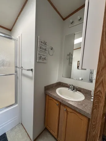 a bathroom with a sink a mirror and a shower