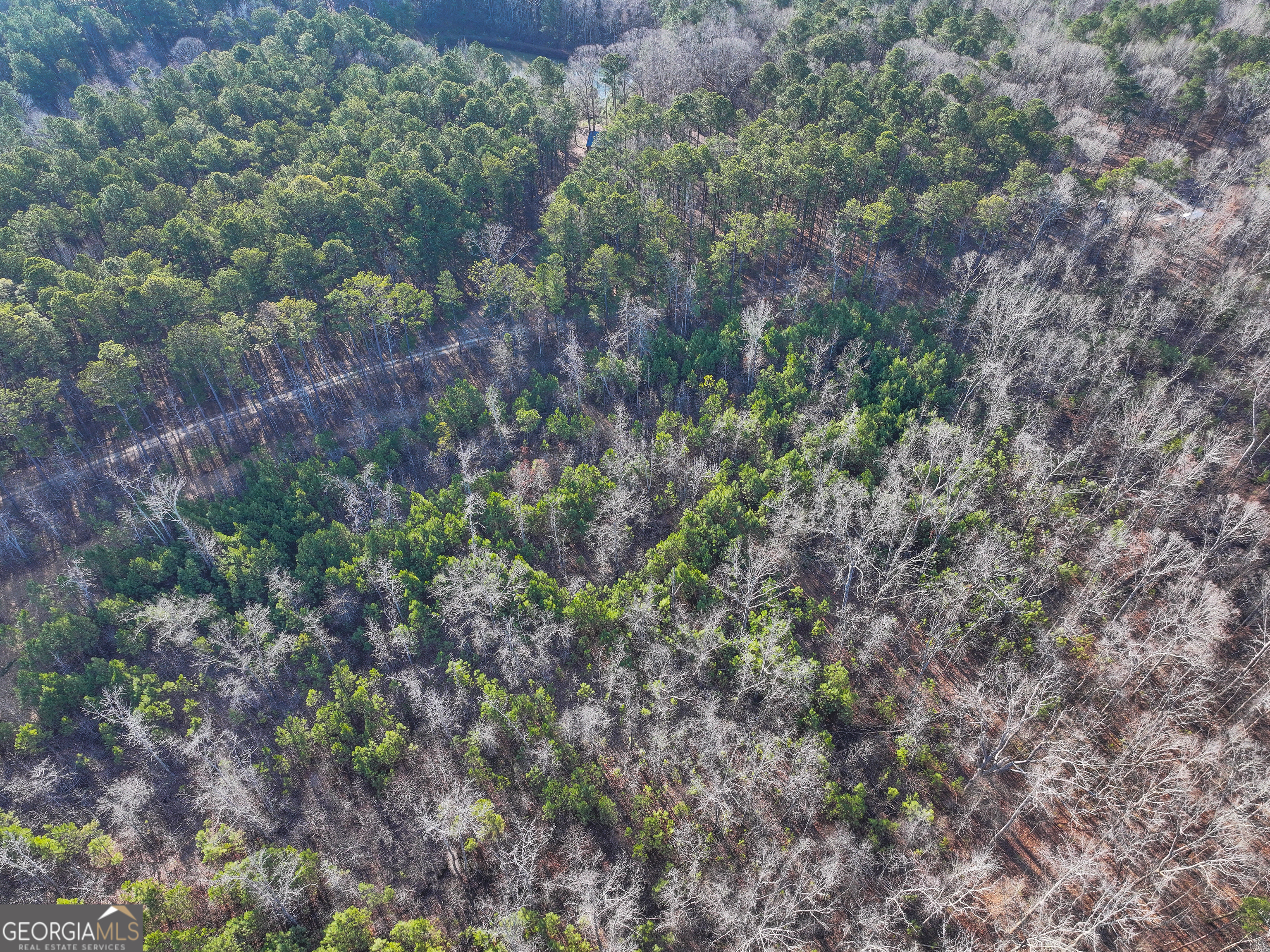 21 Acres On Allgood Church Road Temple, GA 30179 - Photo 11 of 33 a view of a forest with a tree