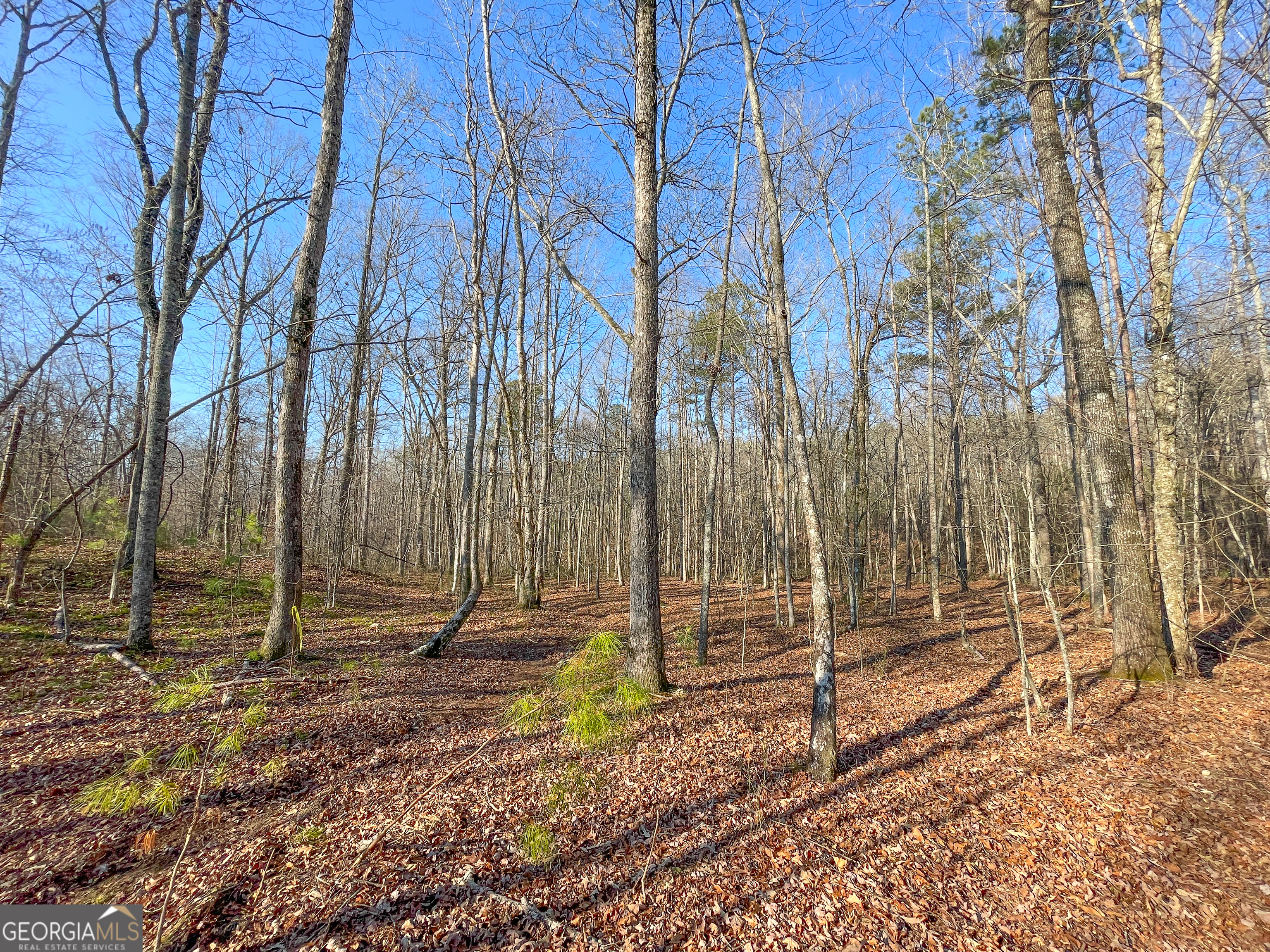 21 Acres On Allgood Church Road Temple, GA 30179 - Photo 12 of 33 a backyard of a house with lots of green space