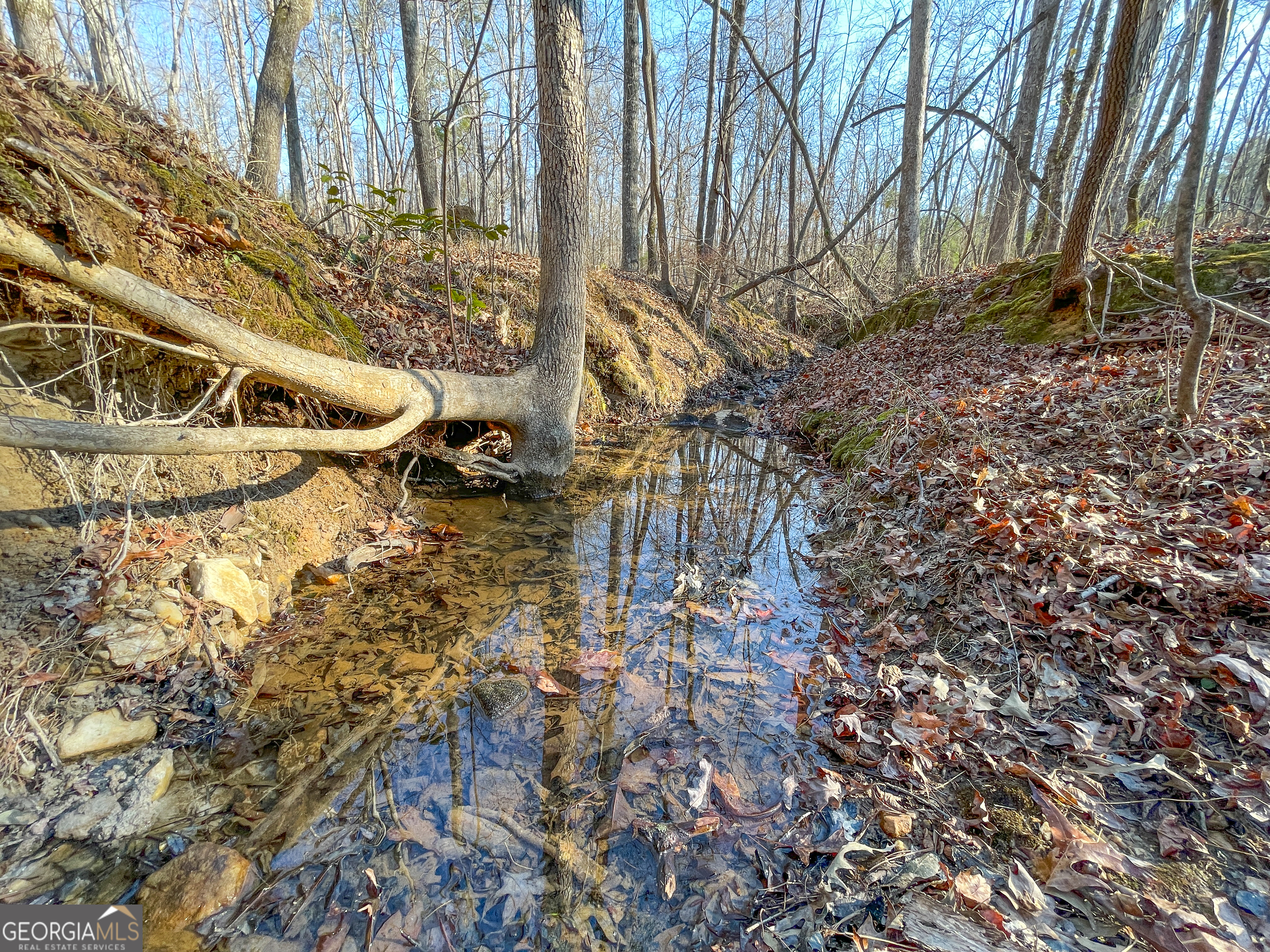 21 Acres On Allgood Church Road Temple, GA 30179 - Photo 13 of 33 a view of outdoor space