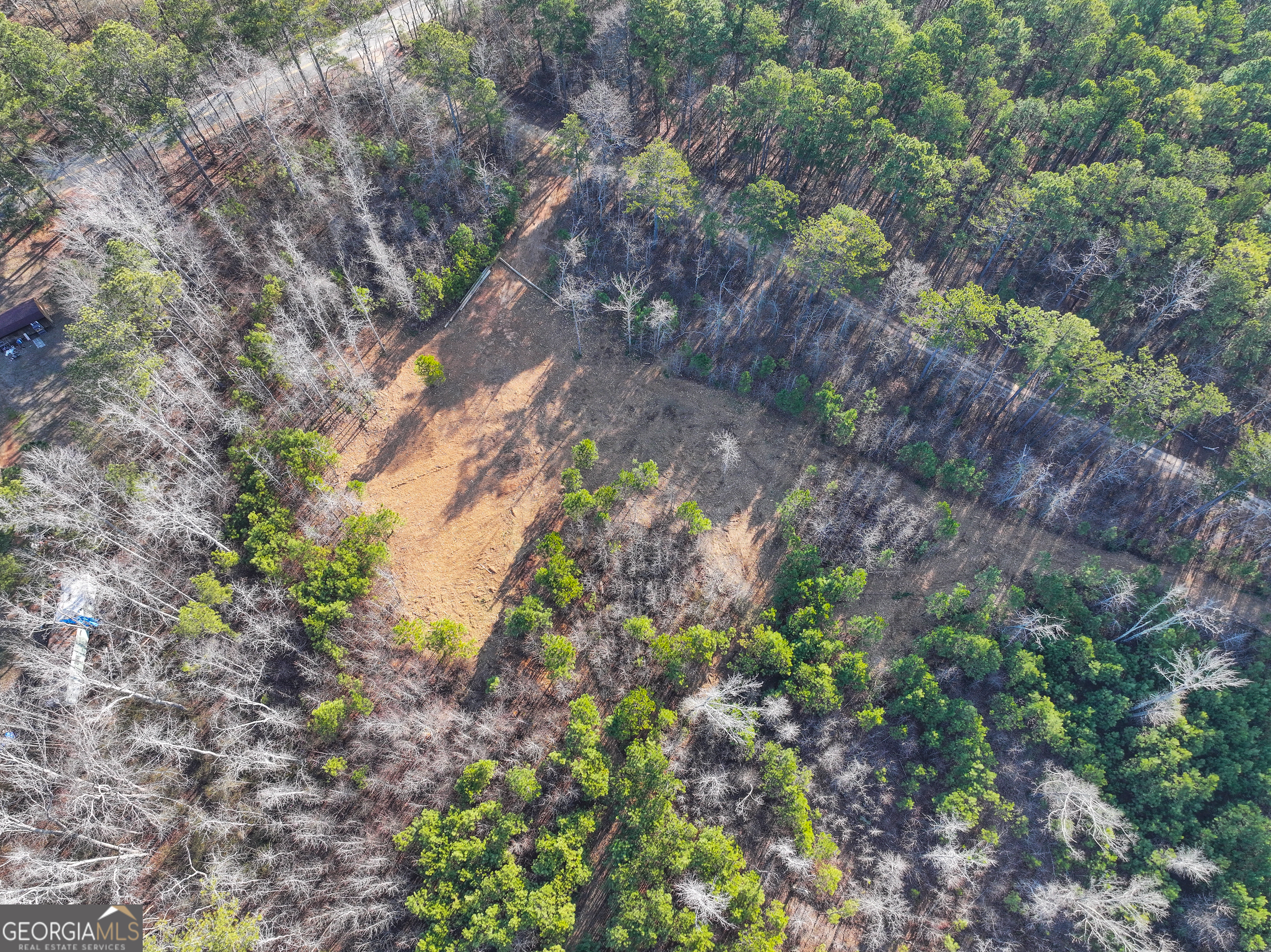 21 Acres On Allgood Church Road Temple, GA 30179 - Photo 14 of 33 a view of a plants in a forest