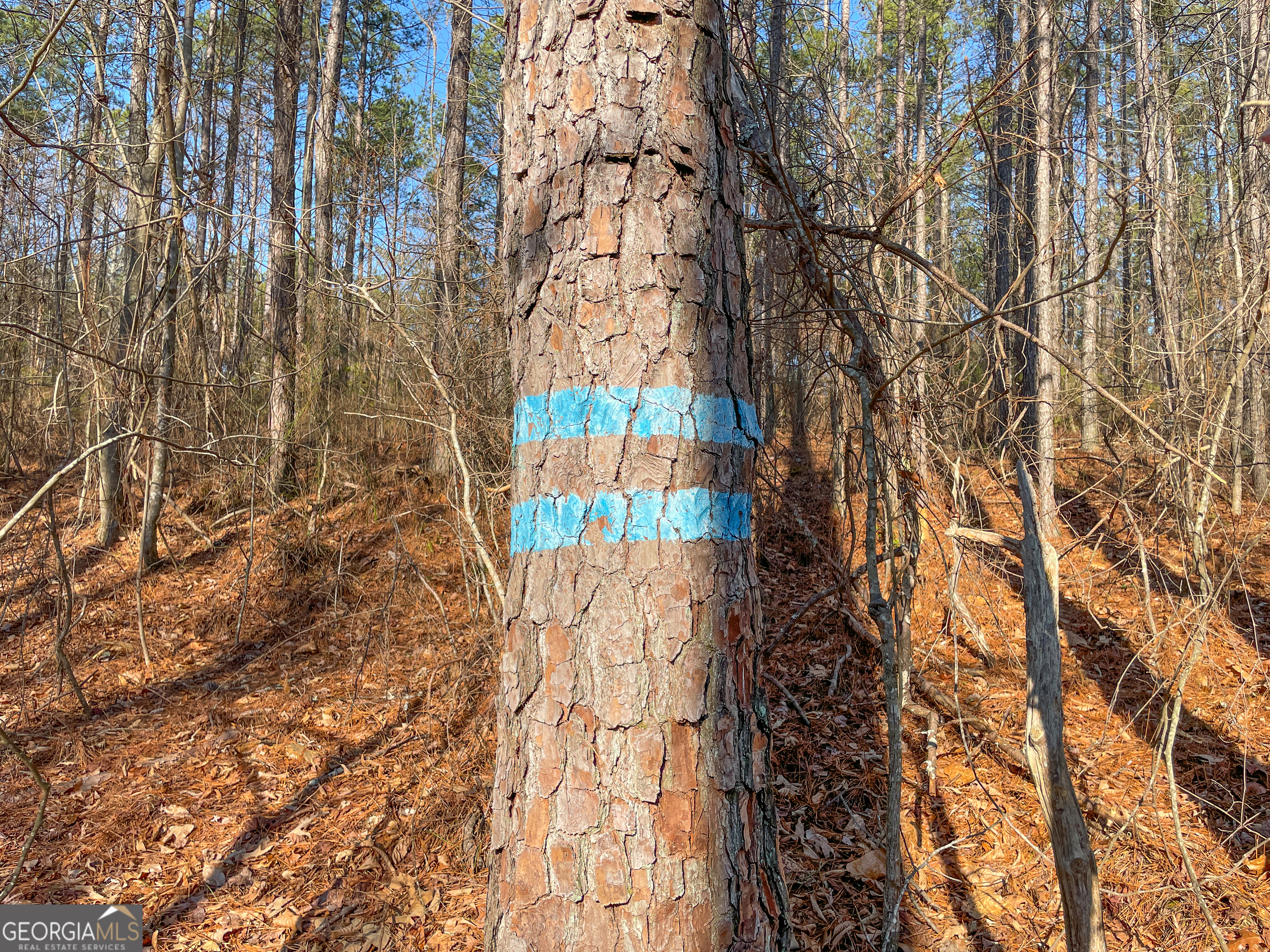 21 Acres On Allgood Church Road Temple, GA 30179 - Photo 15 of 33