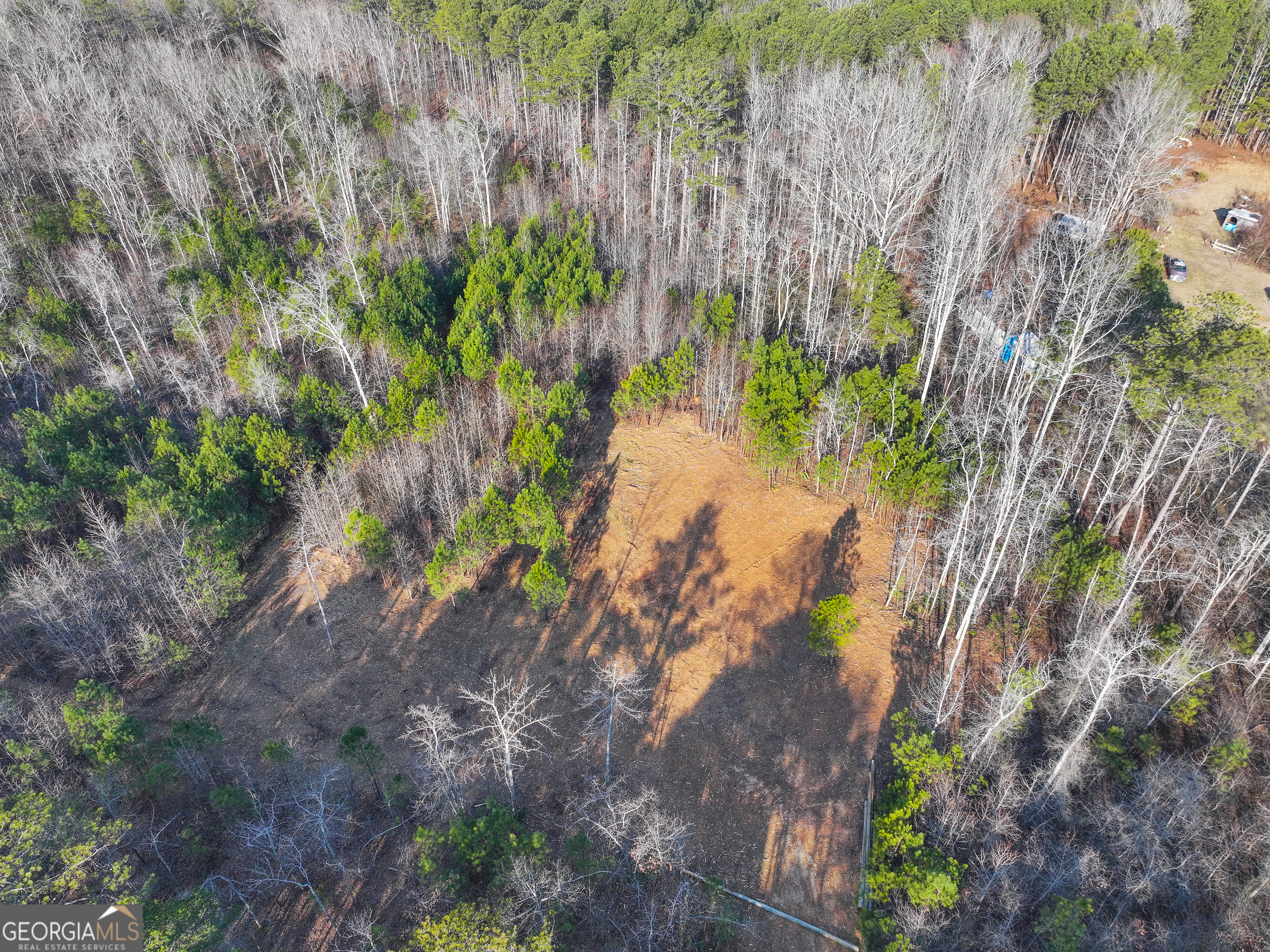 21 Acres On Allgood Church Road Temple, GA 30179 - Photo 17 of 33 a view of a yard with plants