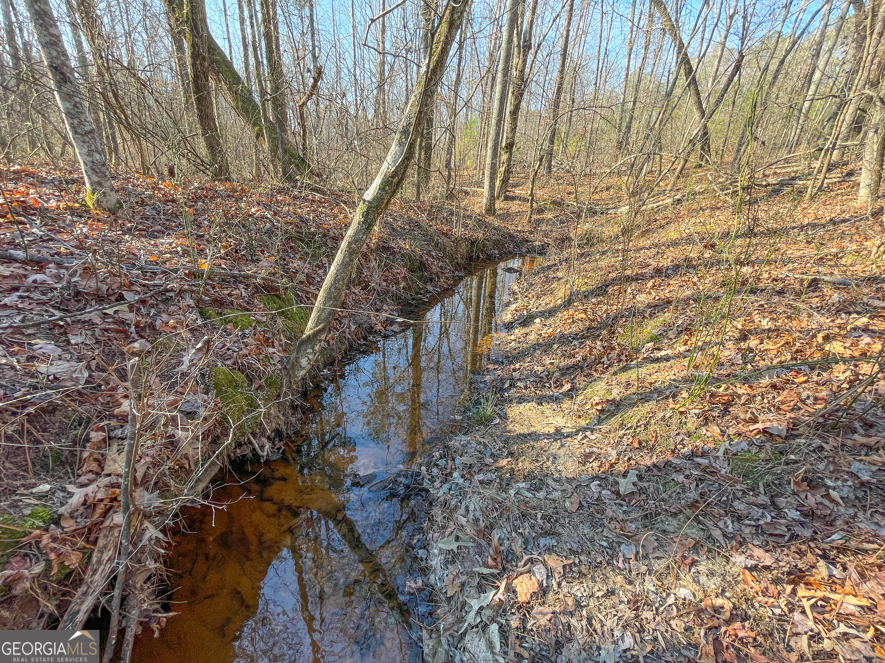 21 Acres On Allgood Church Road Temple, GA 30179 - Photo 18 of 33 a view of a yard with plants and wooden fence