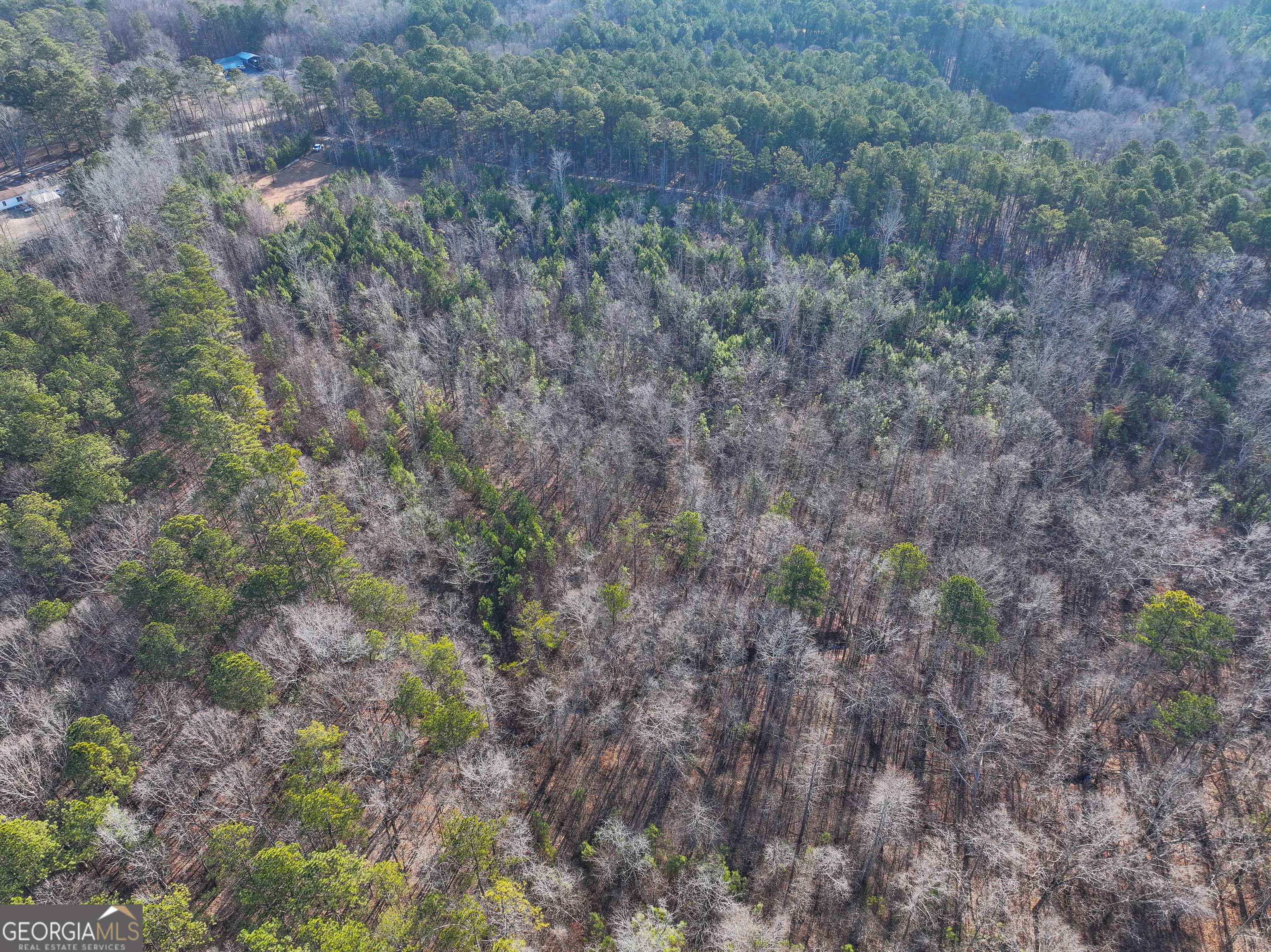 21 Acres On Allgood Church Road Temple, GA 30179 - Photo 19 of 33 a view of a dry field with trees in the background