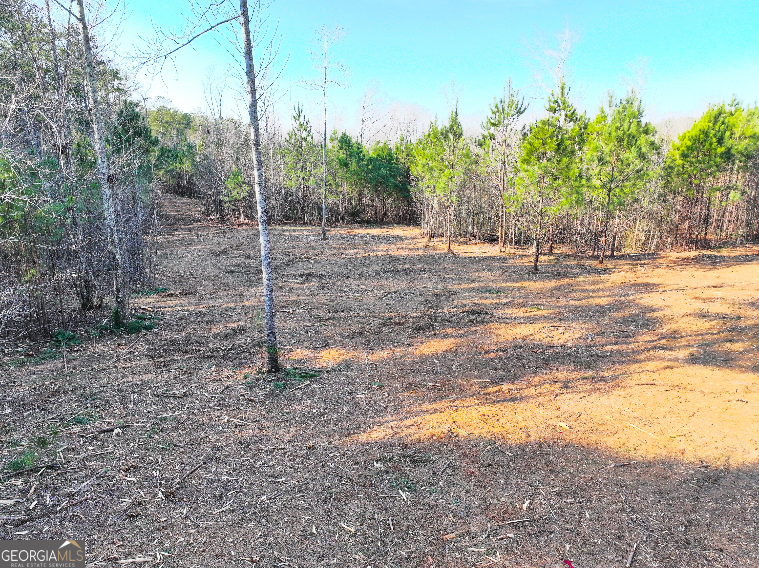 21 Acres On Allgood Church Road Temple, GA 30179 - Photo 22 of 33 a backyard of a house with lots of green space
