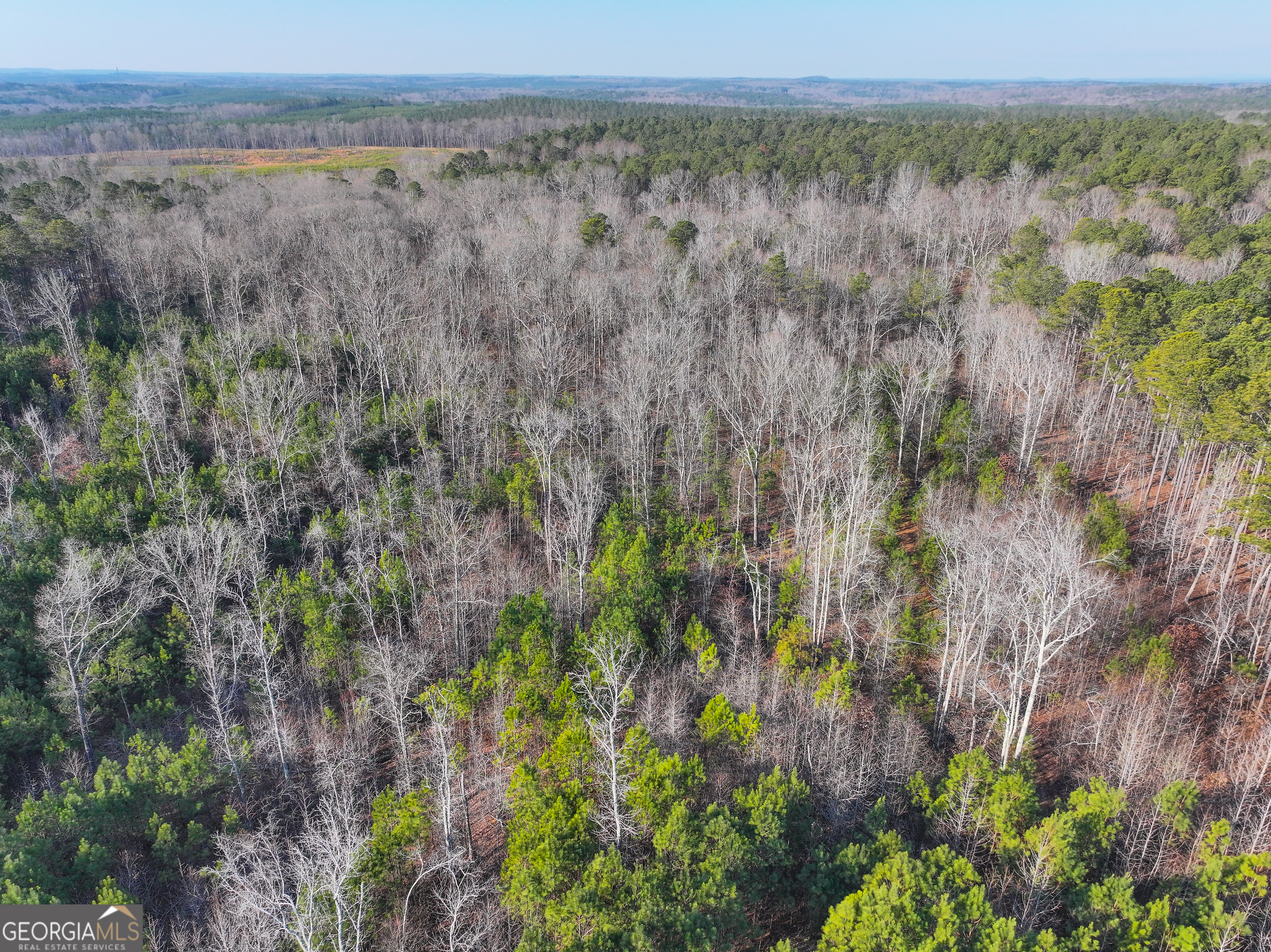 21 Acres On Allgood Church Road Temple, GA 30179 - Photo 23 of 33 a view of a yard with an outdoor space