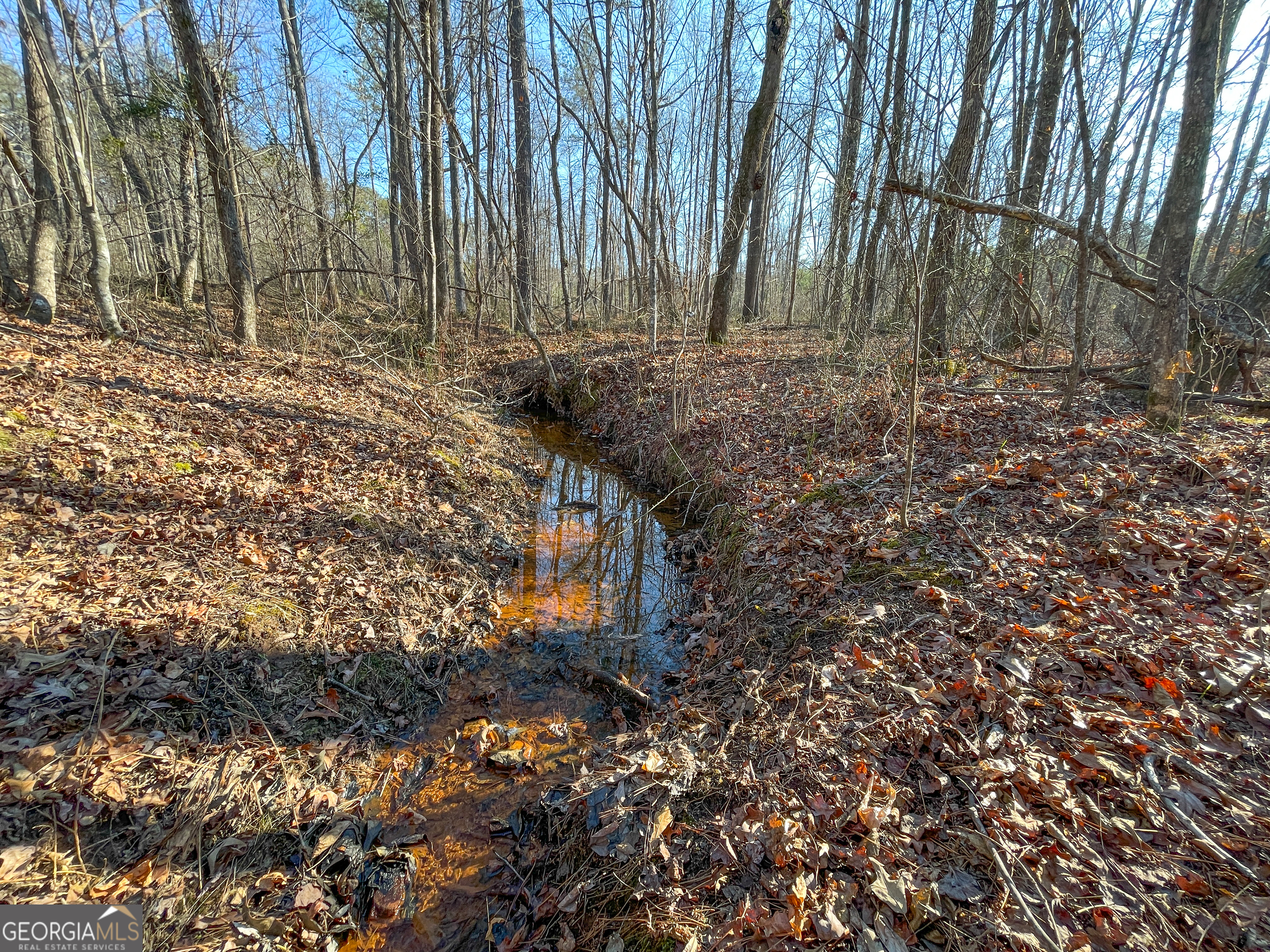 21 Acres On Allgood Church Road Temple, GA 30179 - Photo 24 of 33 a backyard of a house with lots of green space