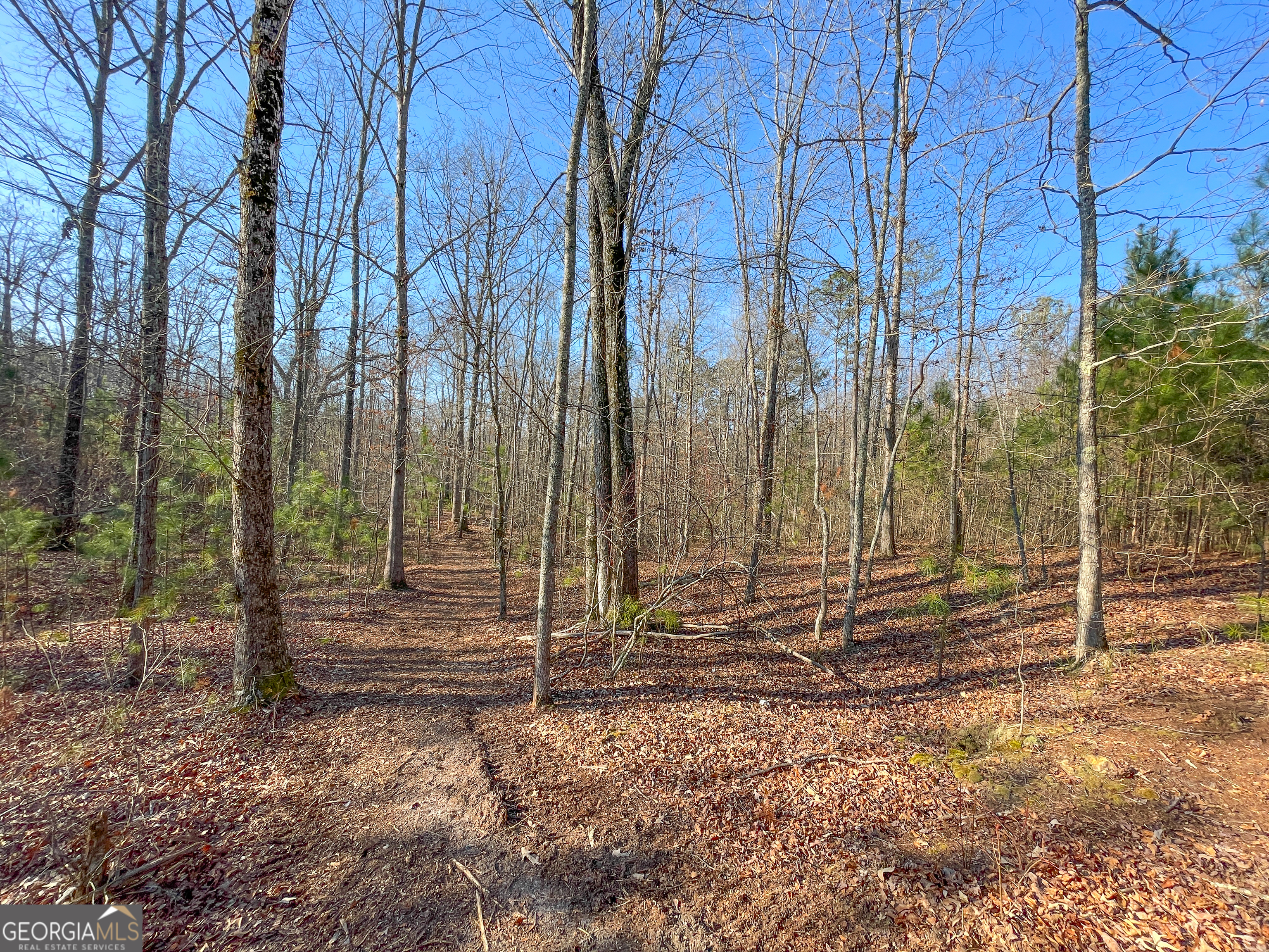 21 Acres On Allgood Church Road Temple, GA 30179 - Photo 25 of 33 a backyard of a house with lots of green space