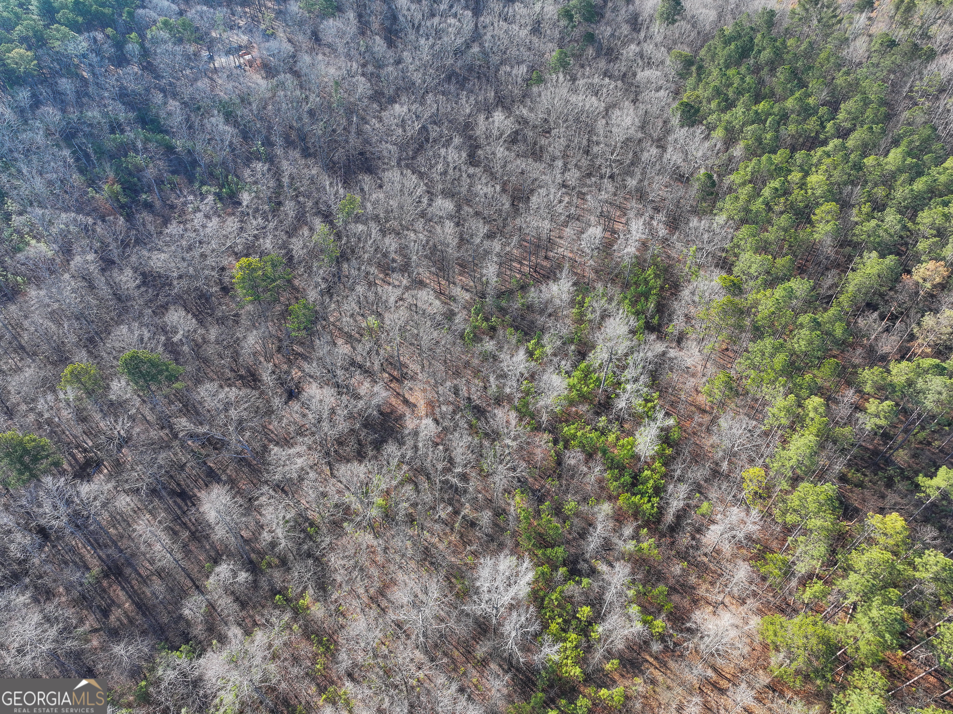 21 Acres On Allgood Church Road Temple, GA 30179 - Photo 29 of 33 a view of a dry yard with a tree in the background