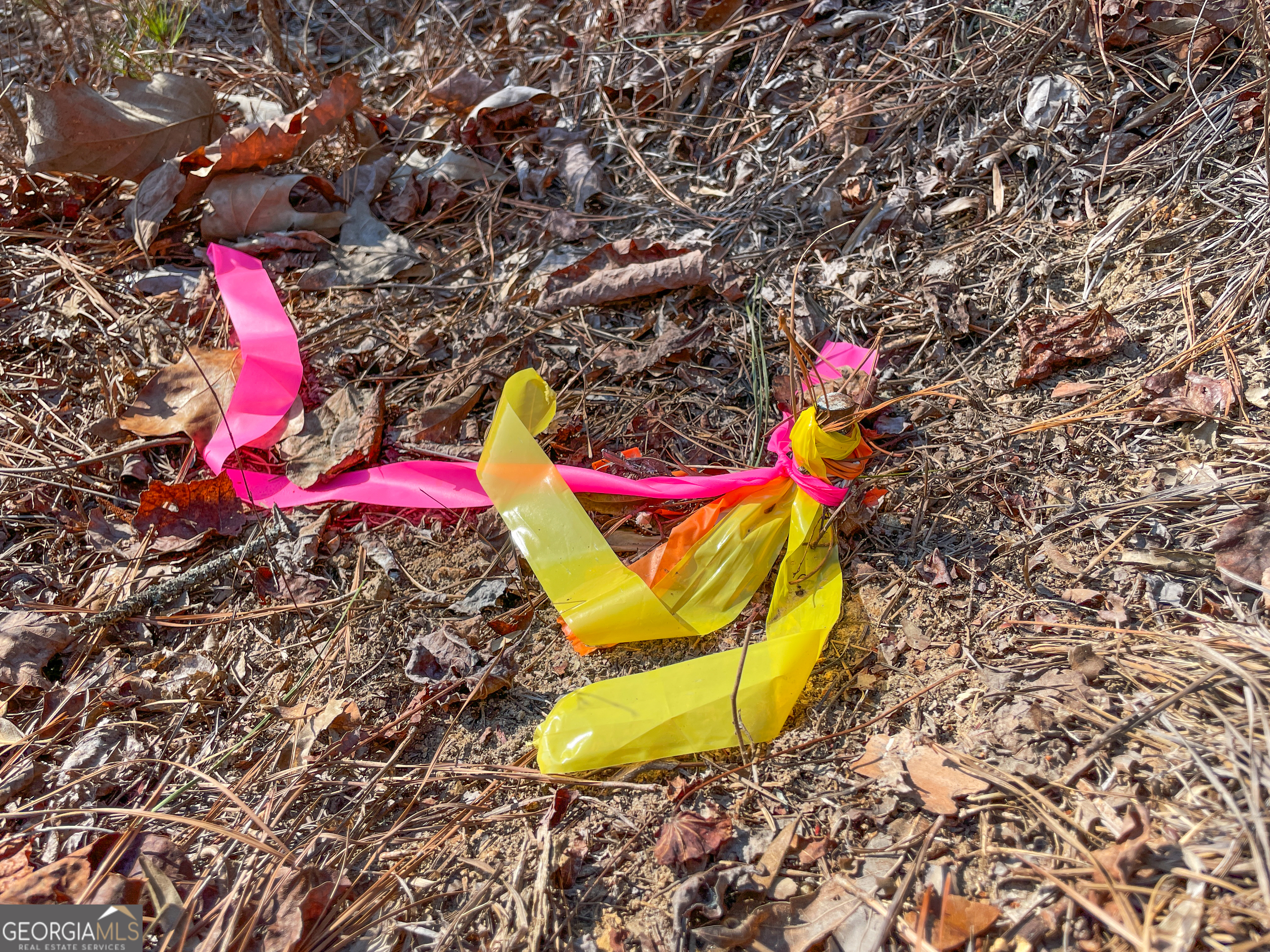 21 Acres On Allgood Church Road Temple, GA 30179 - Photo 30 of 33 unknown