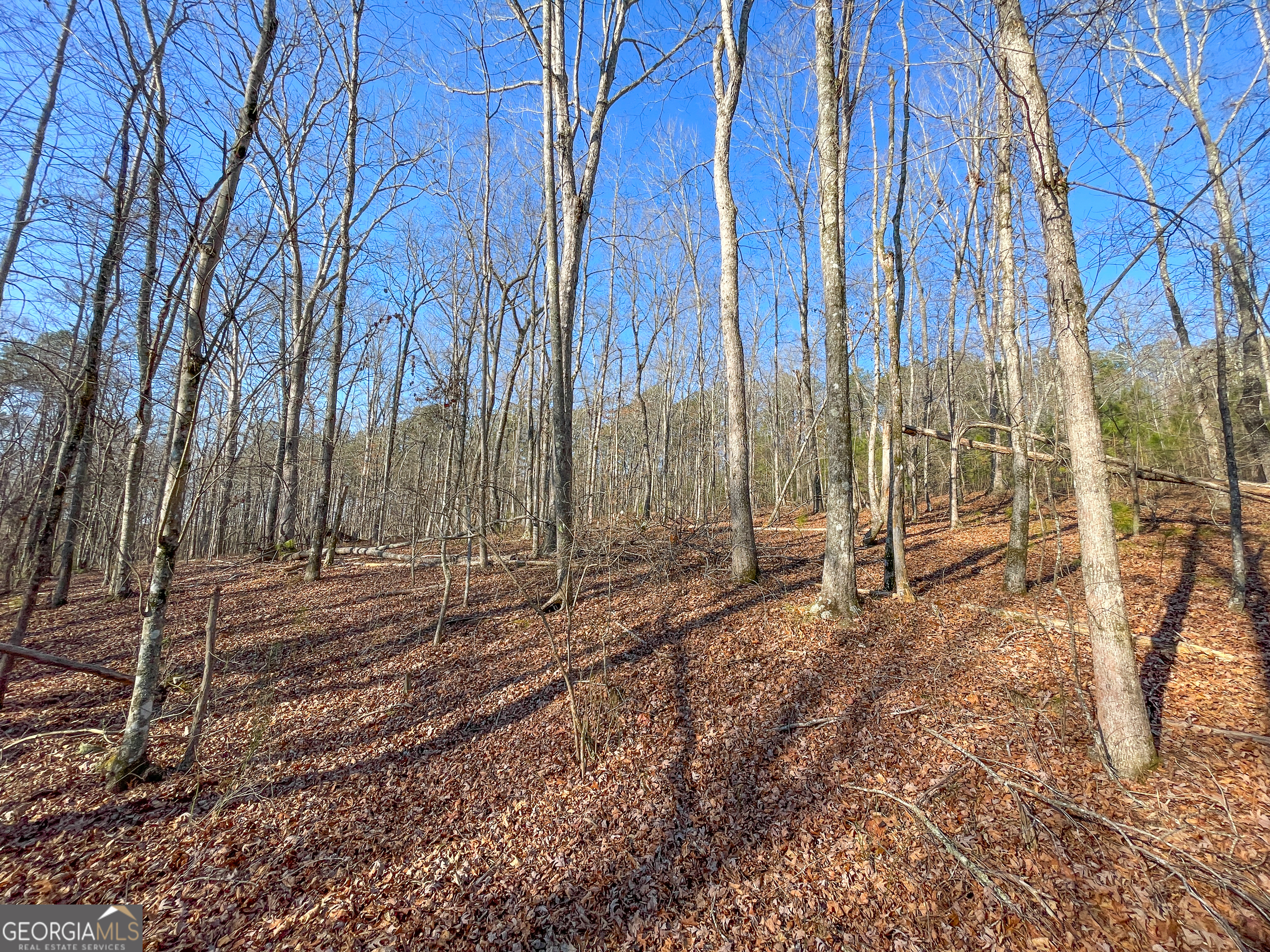 21 Acres On Allgood Church Road Temple, GA 30179 - Photo 31 of 33 a backyard of a house with lots of green space