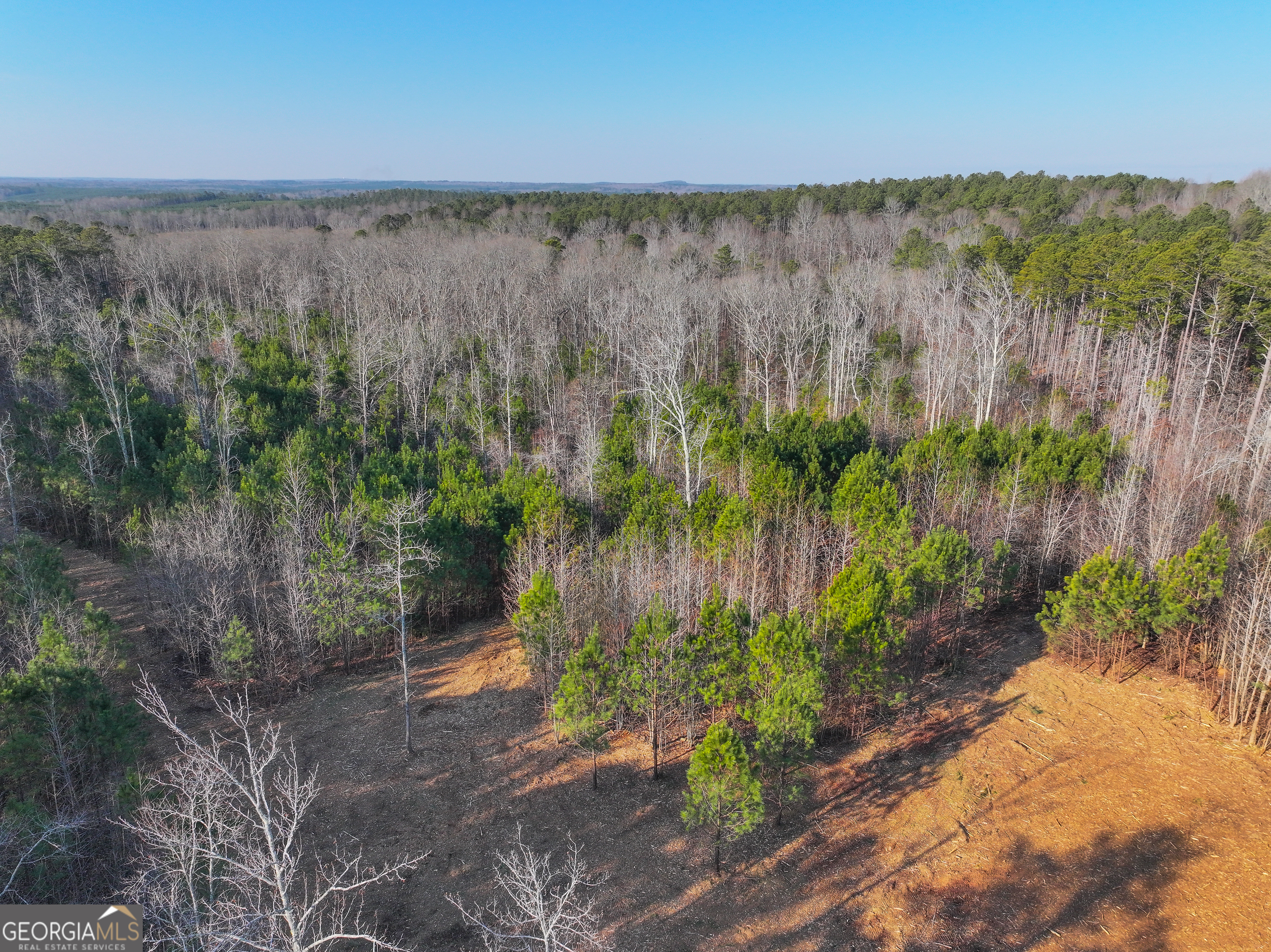 21 Acres On Allgood Church Road Temple, GA 30179 - Photo 4 of 33 a view of a lake with a mountain in the background