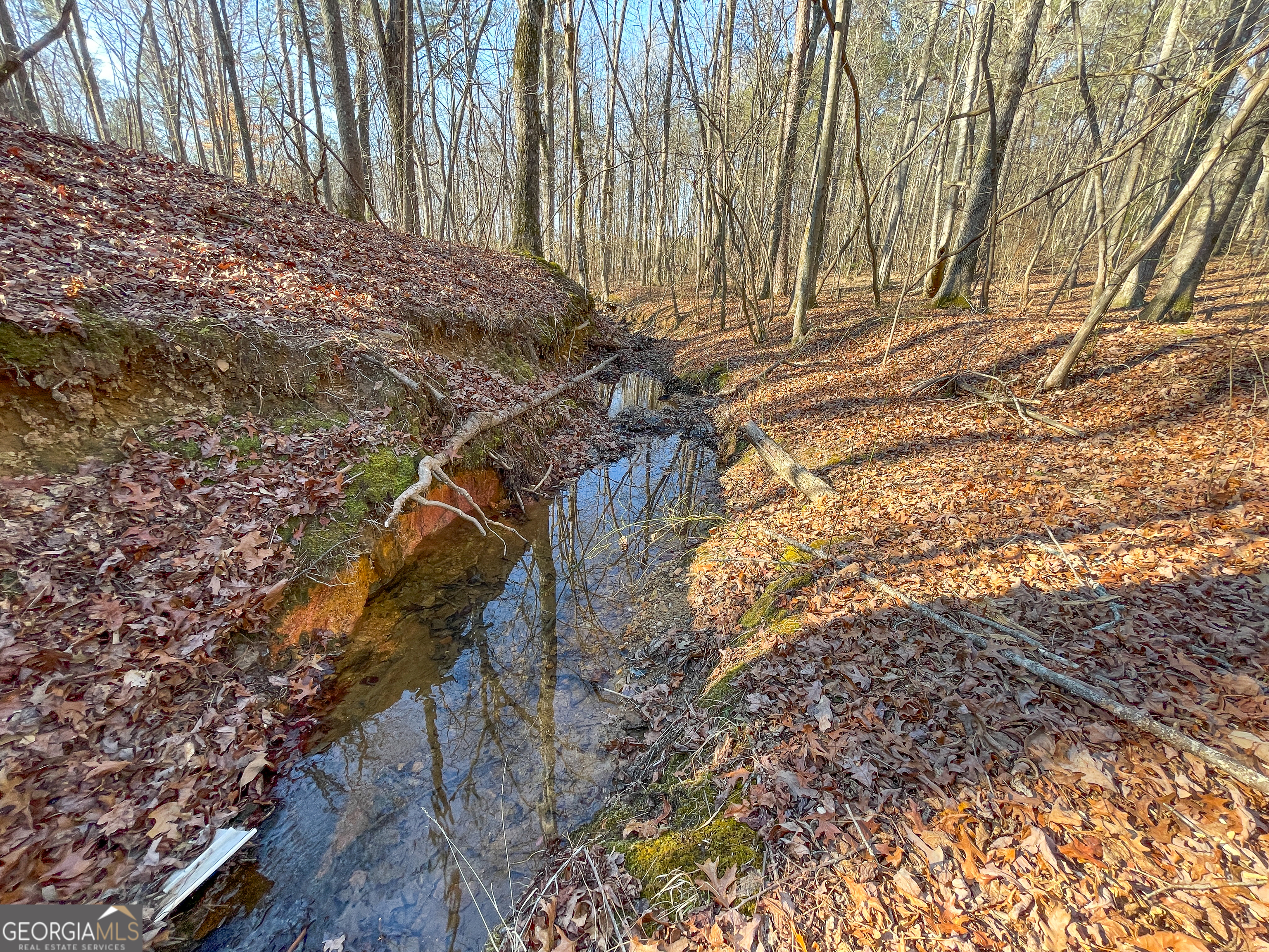 21 Acres On Allgood Church Road Temple, GA 30179 - Photo 5 of 33 a backyard of a house with a yard and outdoor seating