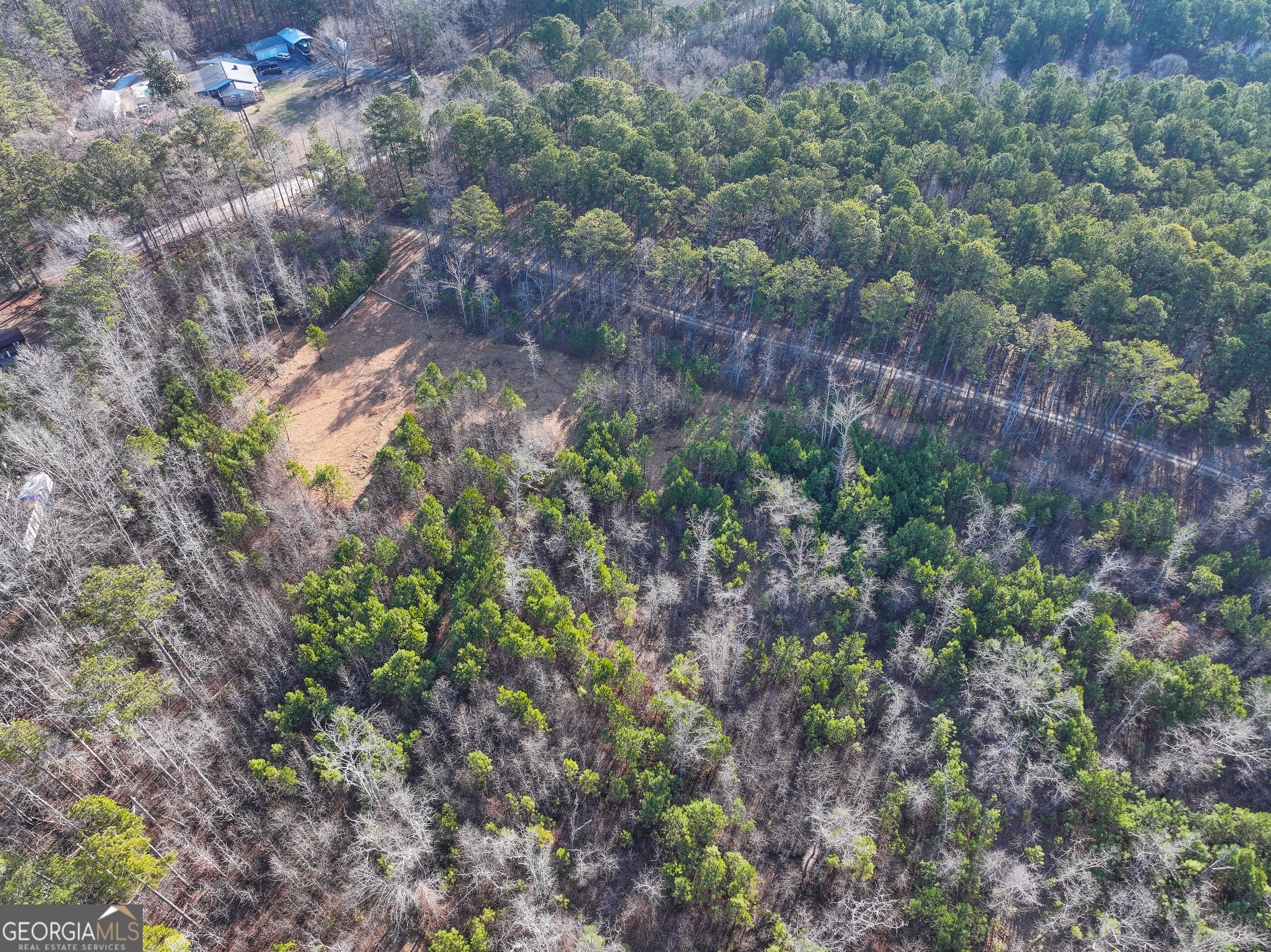 21 Acres On Allgood Church Road Temple, GA 30179 - Photo 6 of 33 a view of a dry yard with lots of trees